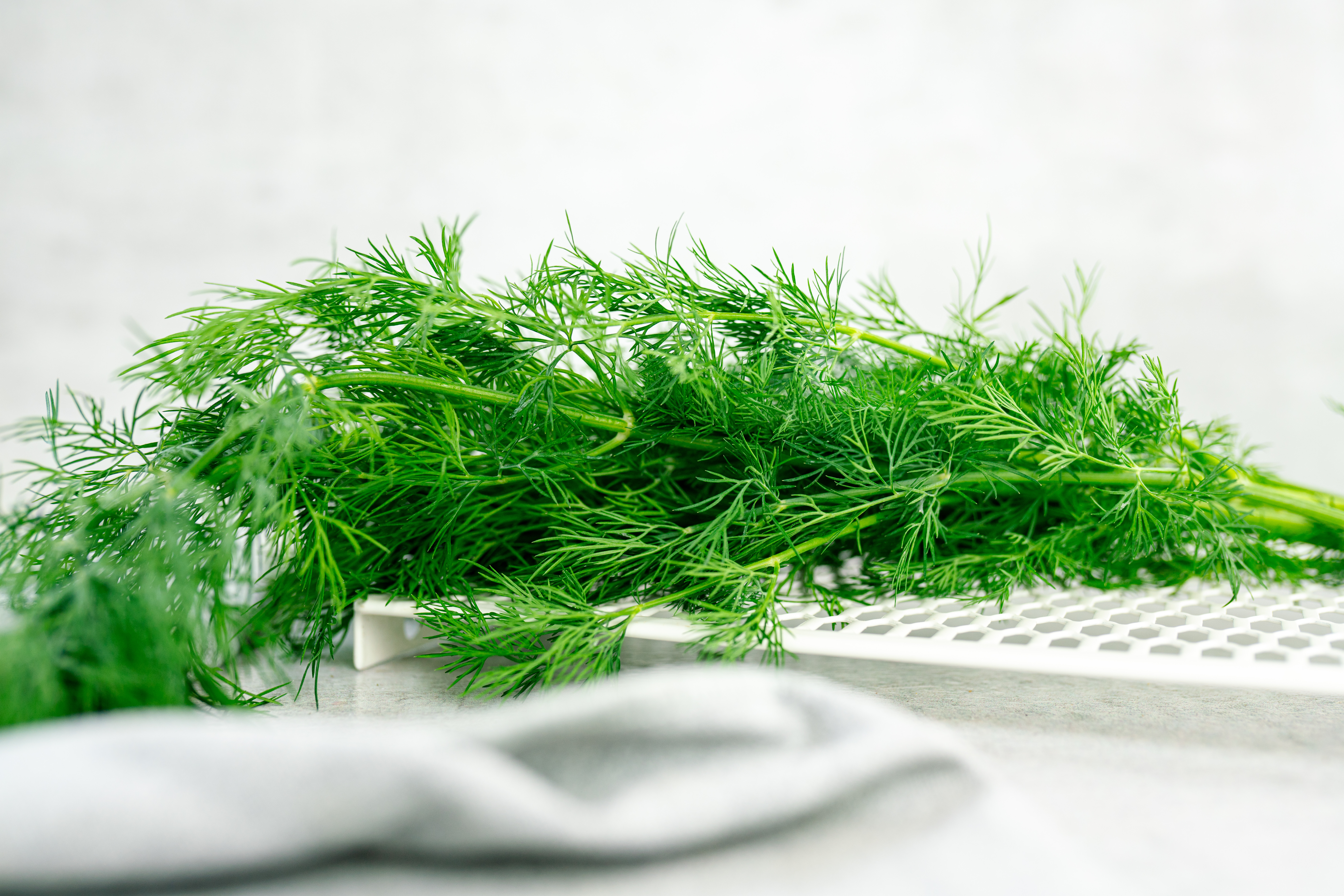 Dill