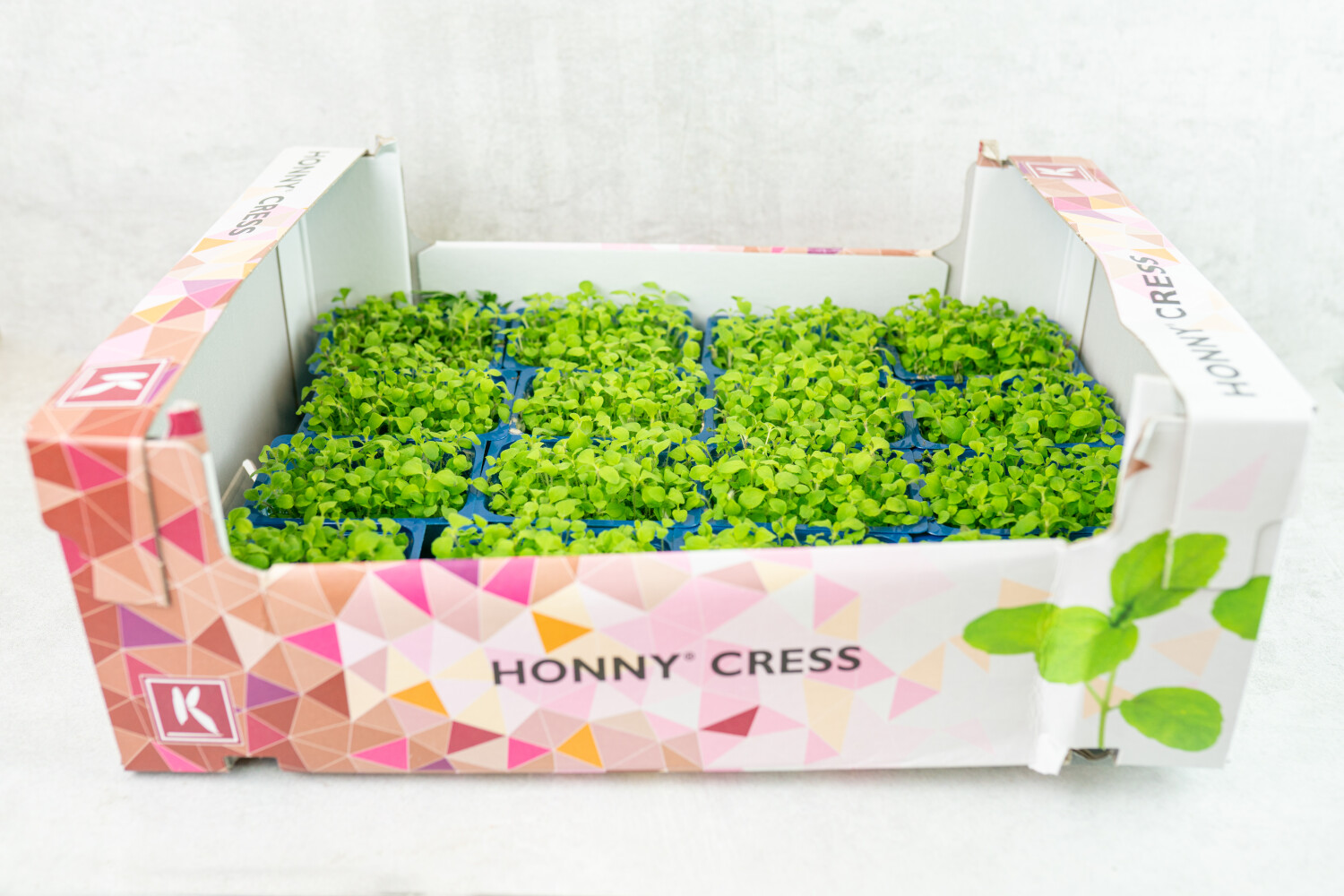 Honny-Kresse