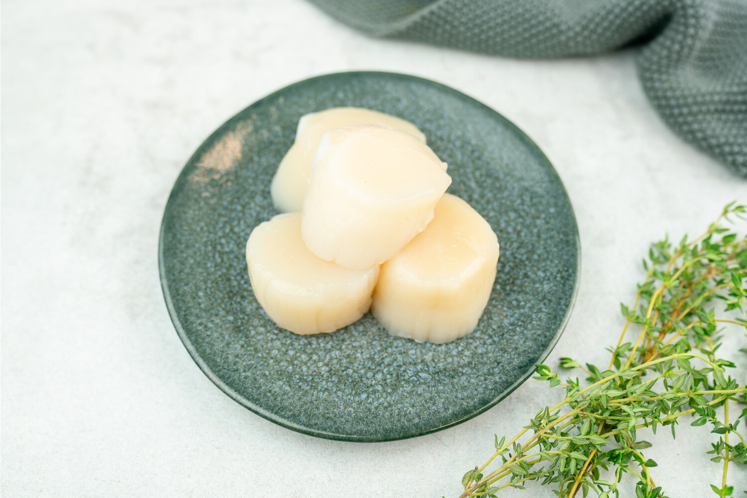 Tiefseescallops 20/30 I COMEAU