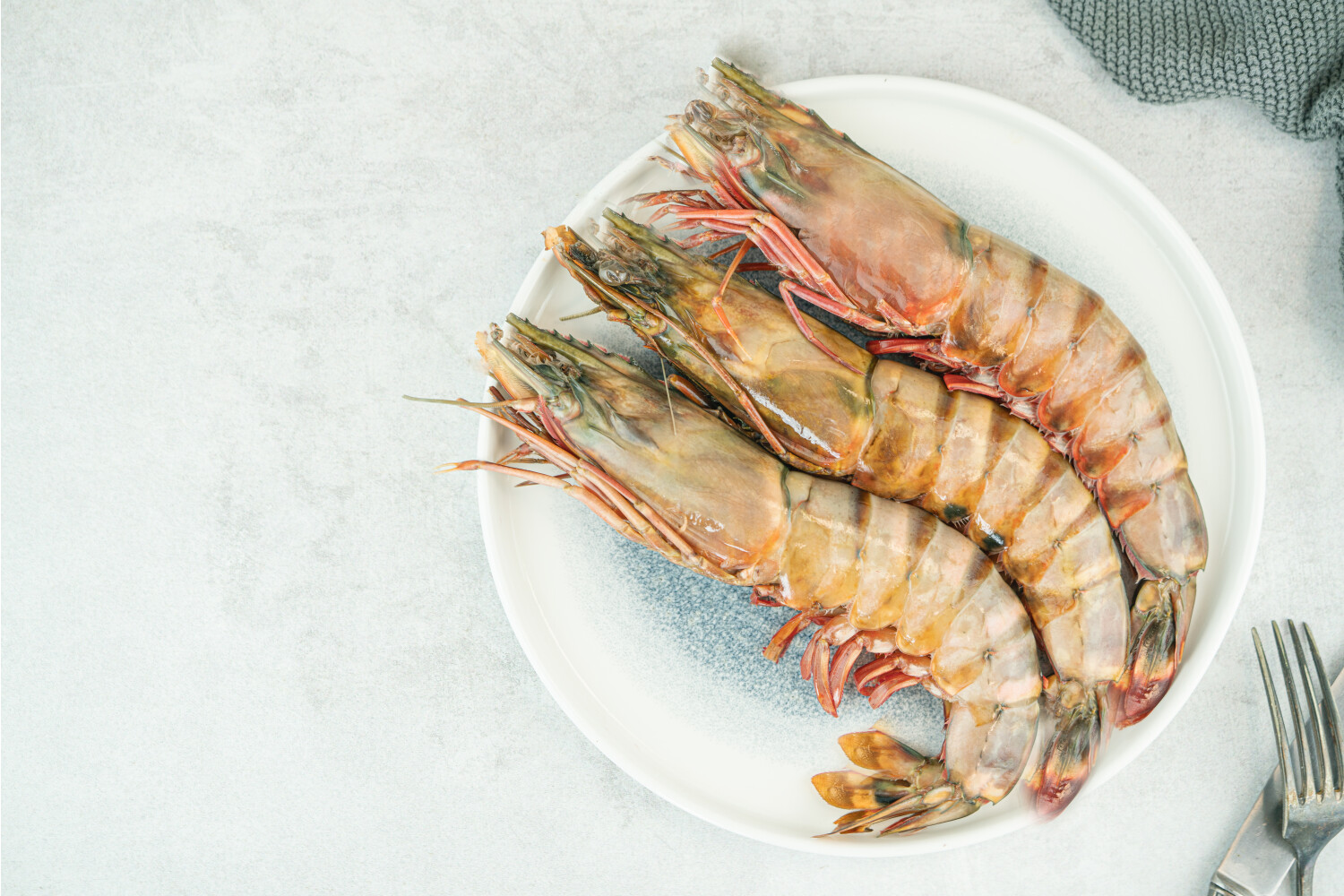 Black Tiger Garnelen 2/4