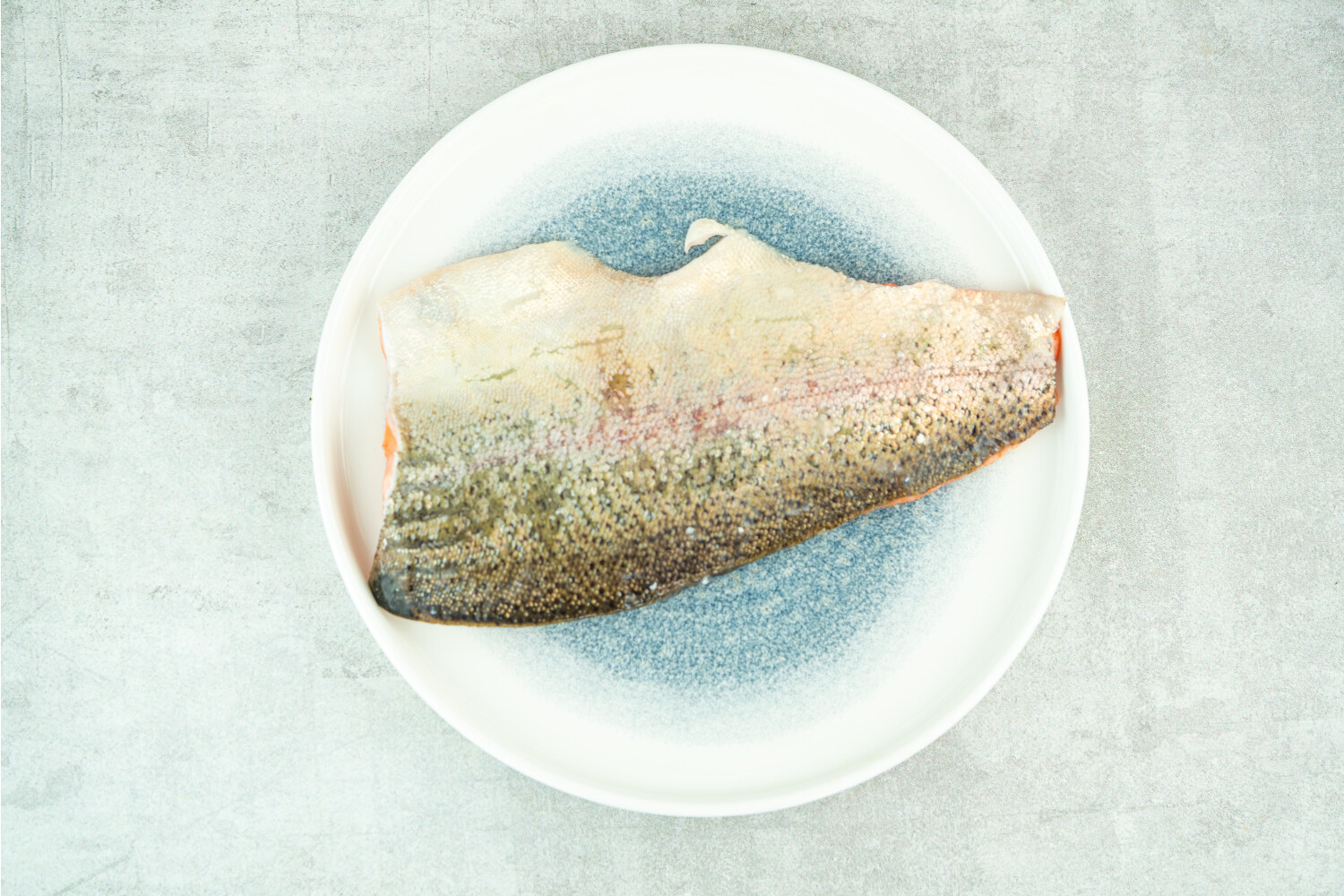 Lachsforellenfilet mit Haut