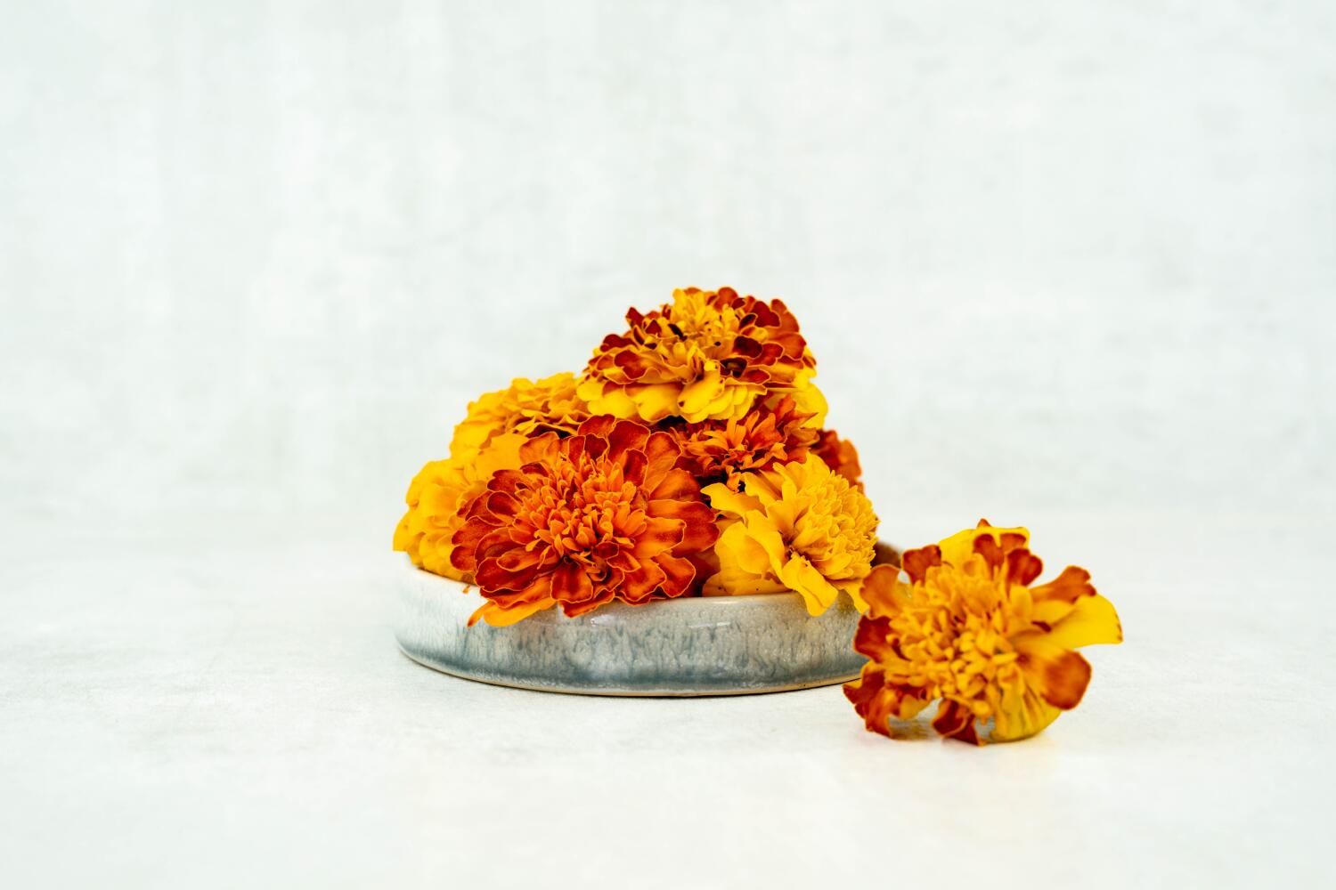 Tagetes-Blüten I FLAVOUR HUNTERS