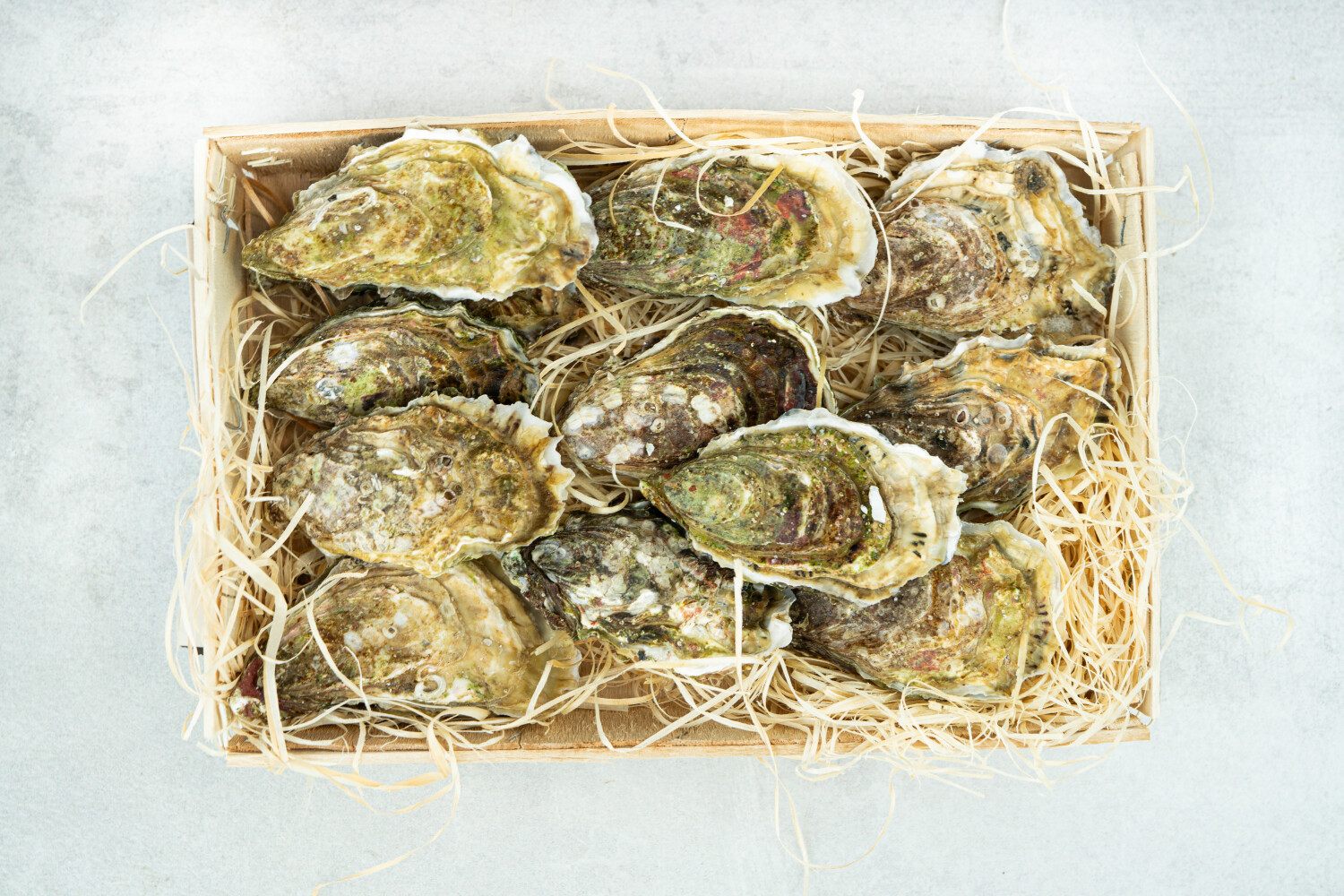 40002351-551518-austern-herve-fine-nr-2-24-stk-korb.jpg Austern Fine N°2 I HERVÉ