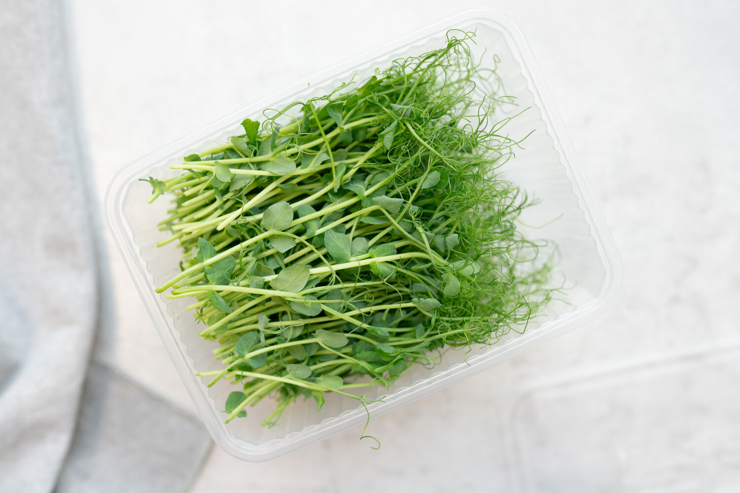 40001186.jpg Erbsensprossen geschnitten I FLAVOUR HUNTERS