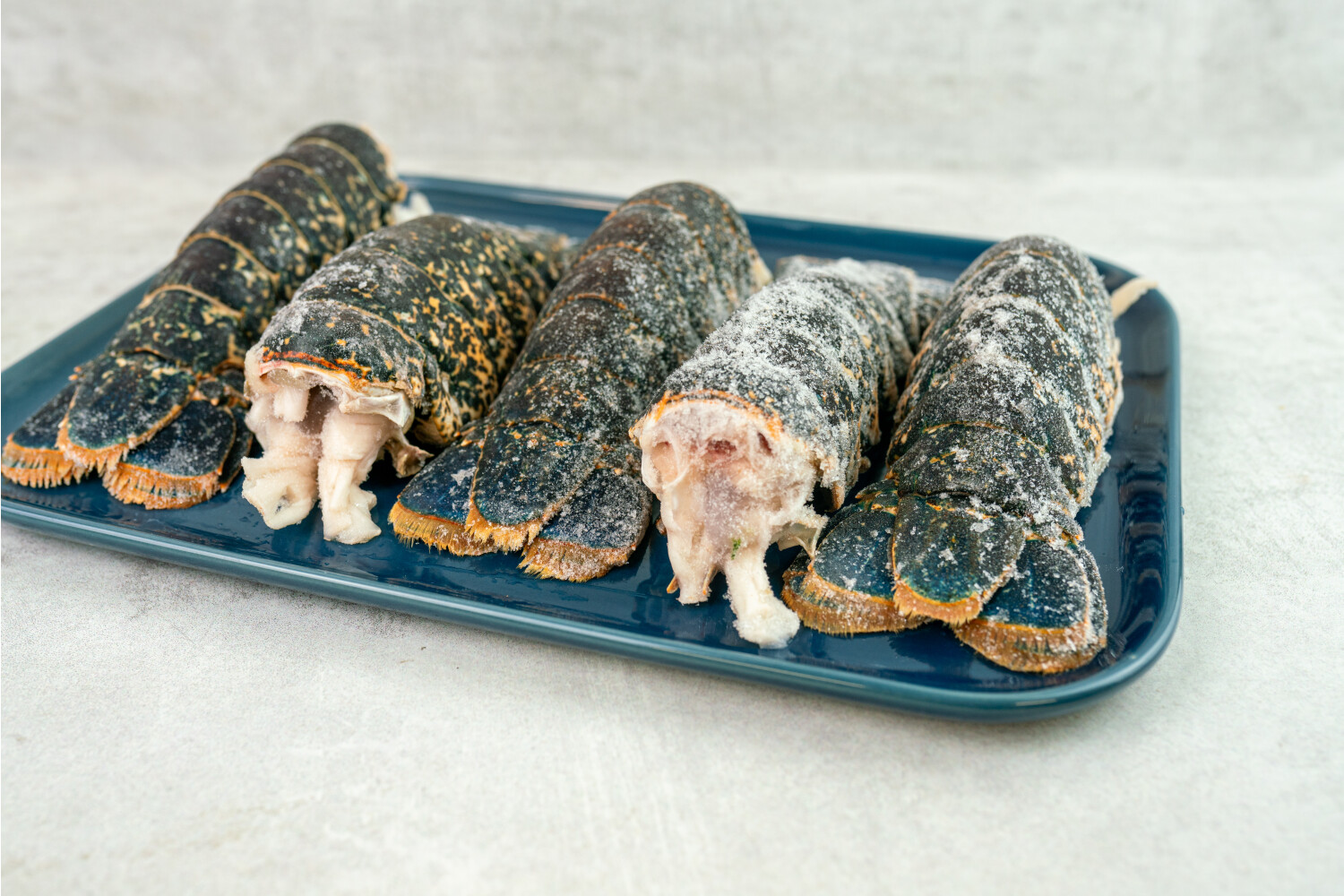 Hummer-Schwänze I HIGH PRESSURE