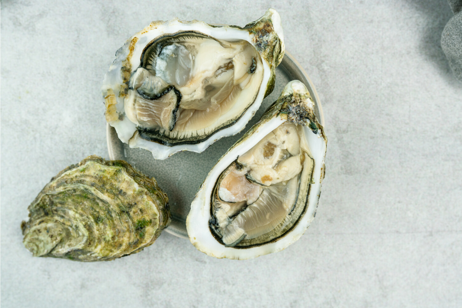 Austern No°1 I GILLARDEAU