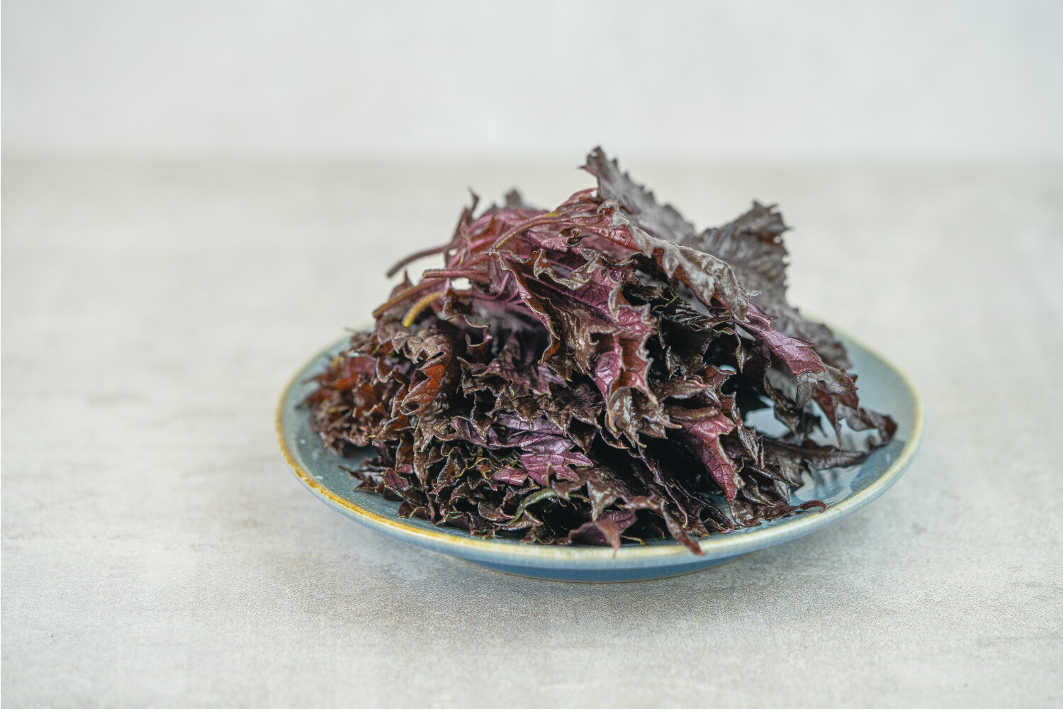 Shiso Purple-Kresse