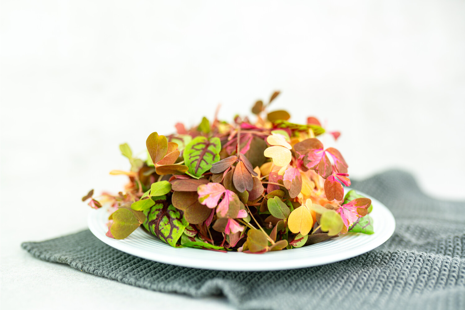 Sauerkresse-Mix I FLAVOUR HUNTERS