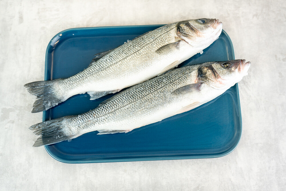 Loup de Mer rund