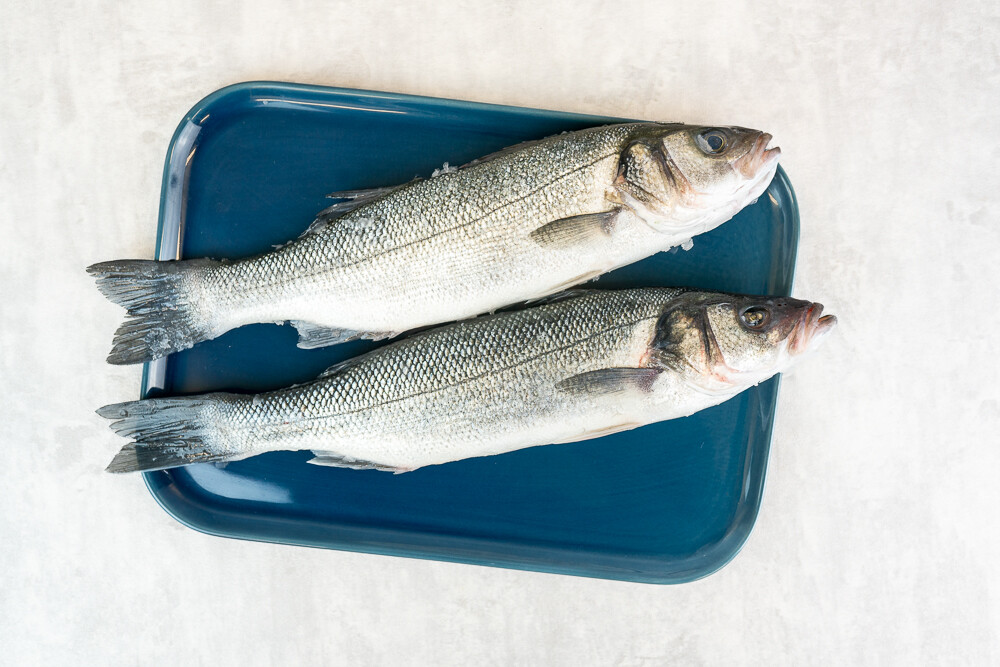 Loup de Mer rund 