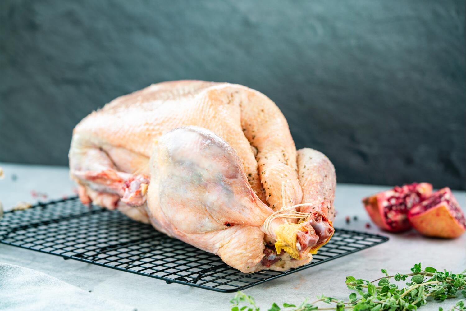 Freilandgans I DITHMARSCHER GEFLÜGEL