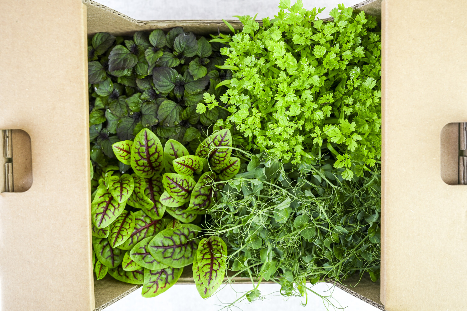 Kresse-Mix I FLAVOUR HUNTERS