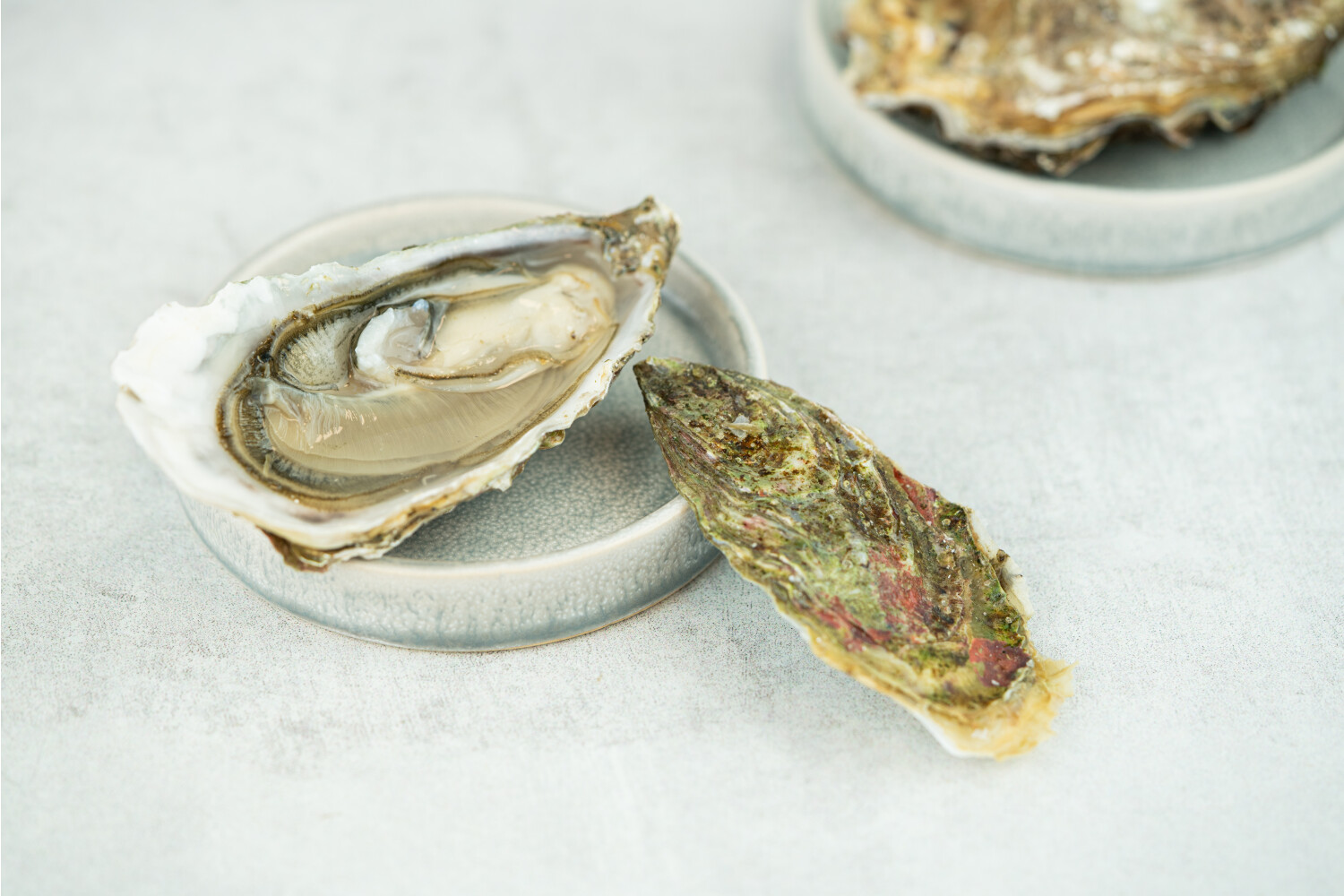 40002350-551515-austern-herve-fine-nr-1-48-stk-korb.jpg Austern Fine N°1 I HERVÉ