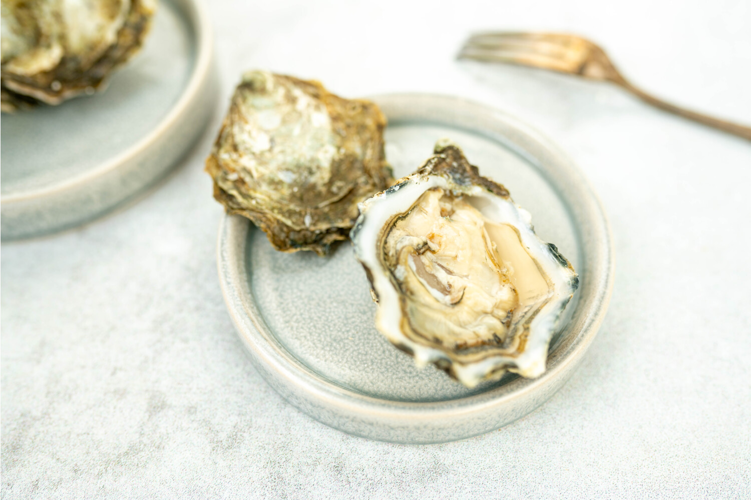 40002361.jpg Austern Peter N°6 I HERVÉ