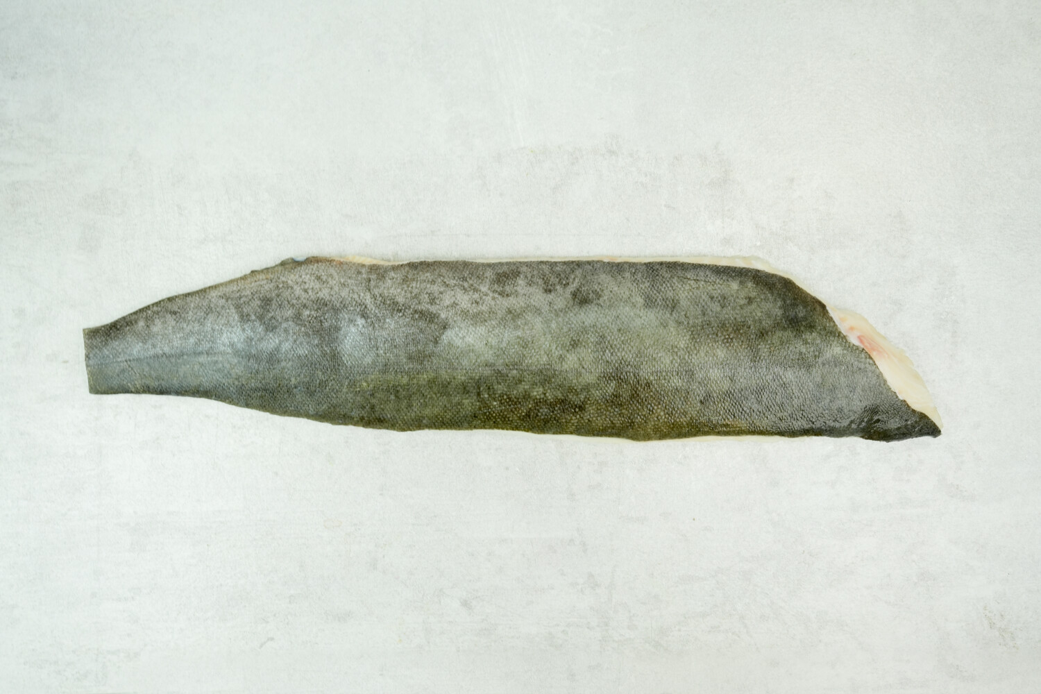 Black Cod Filet mit Haut