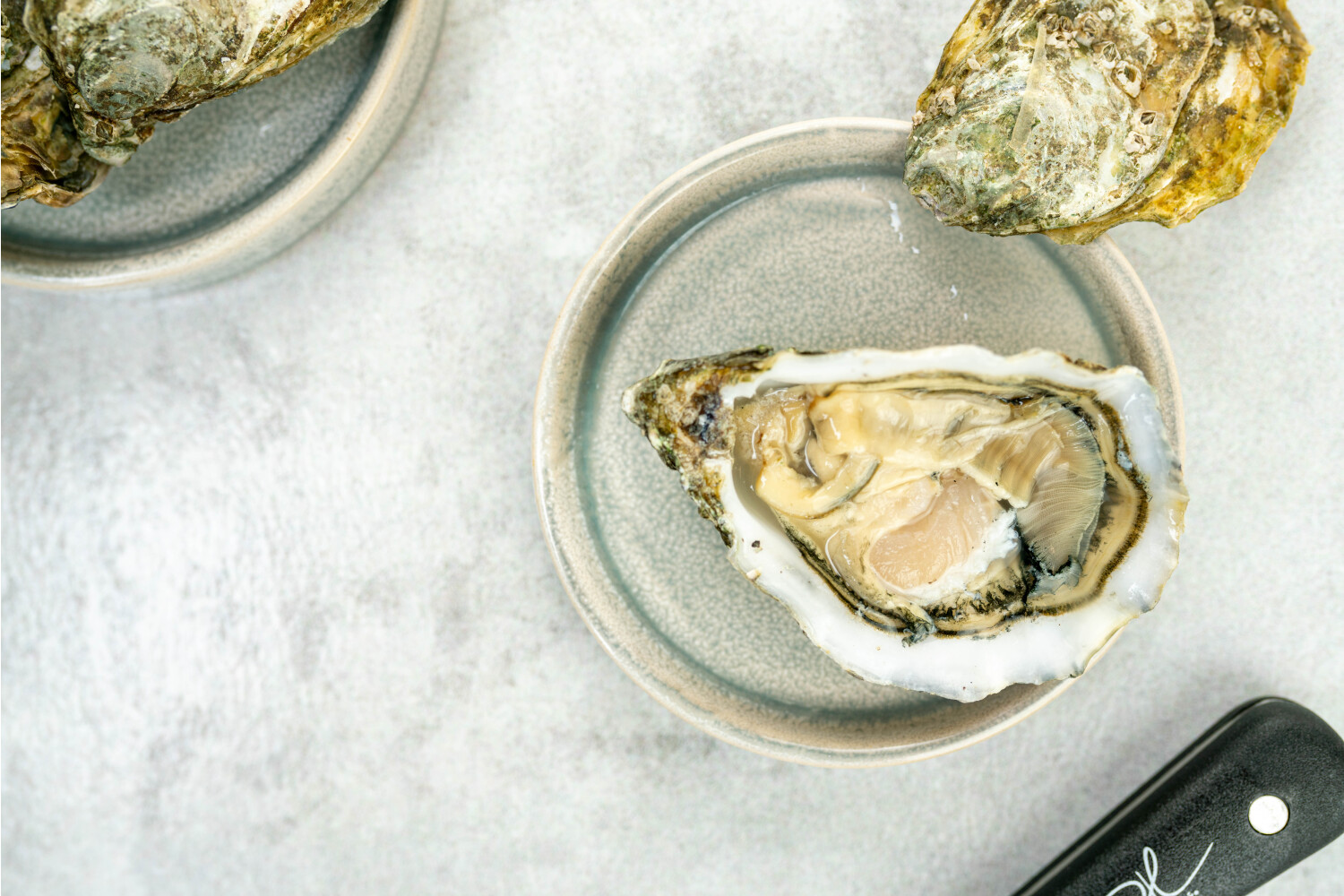 40002348-551528-austern-herve-boudeuse-nr-4-96-stk-korb.jpg Austern Boudeuse N°4 I HERVÉ