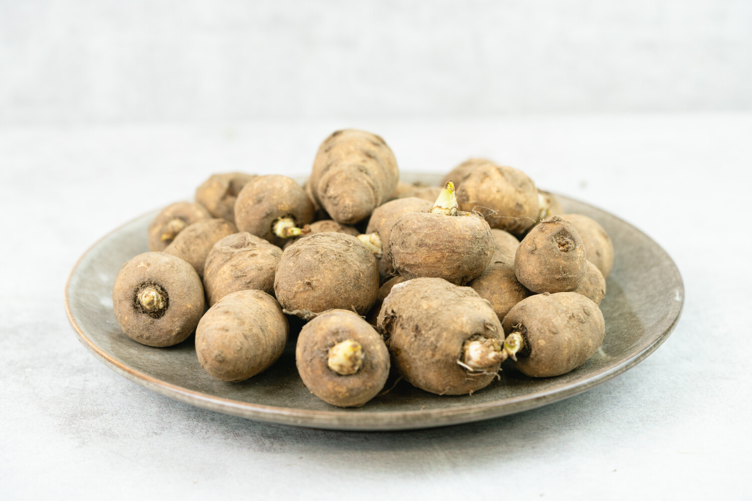 Kerbelknolle