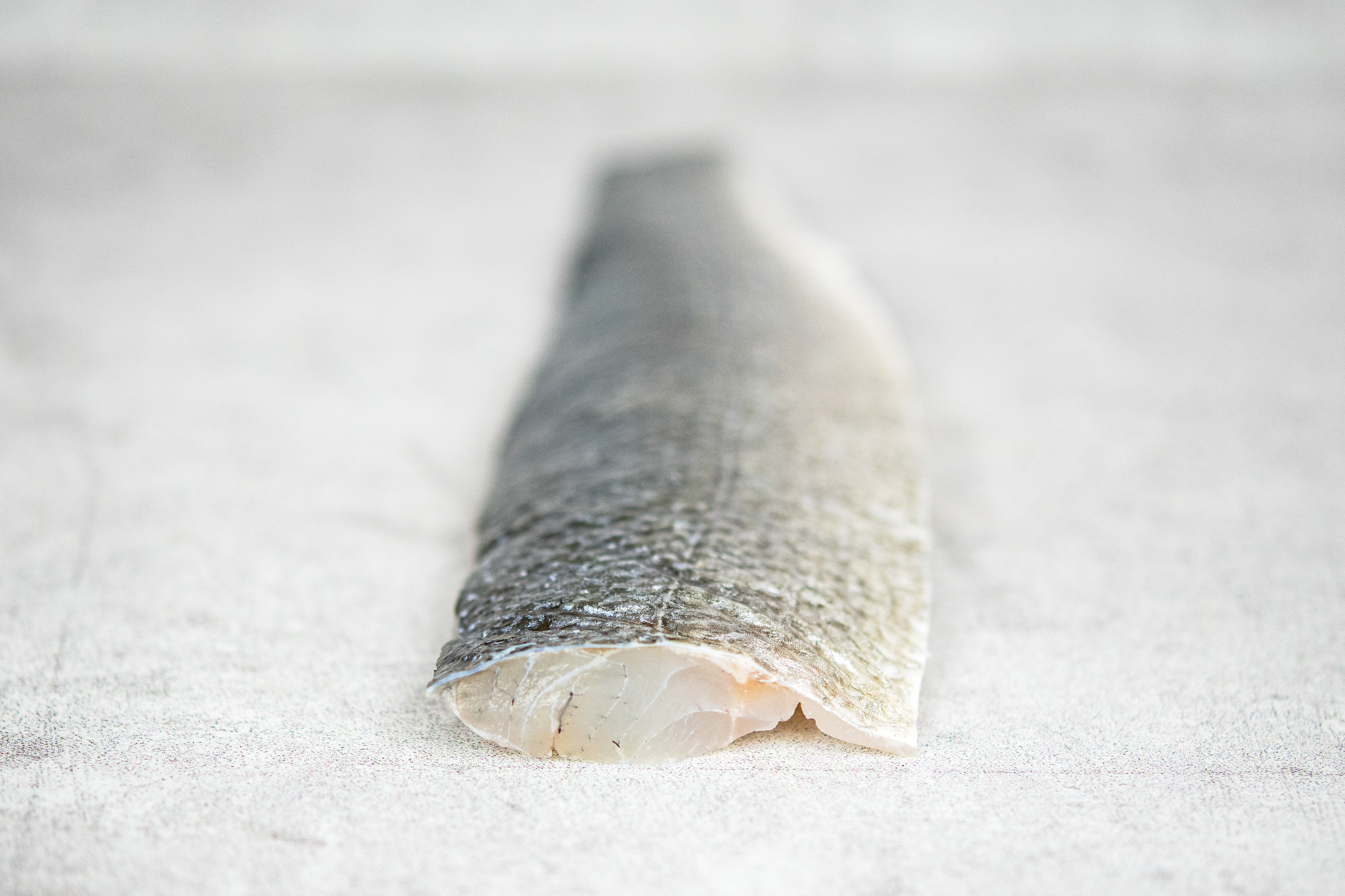 Wolfsbarschfilet mit Haut