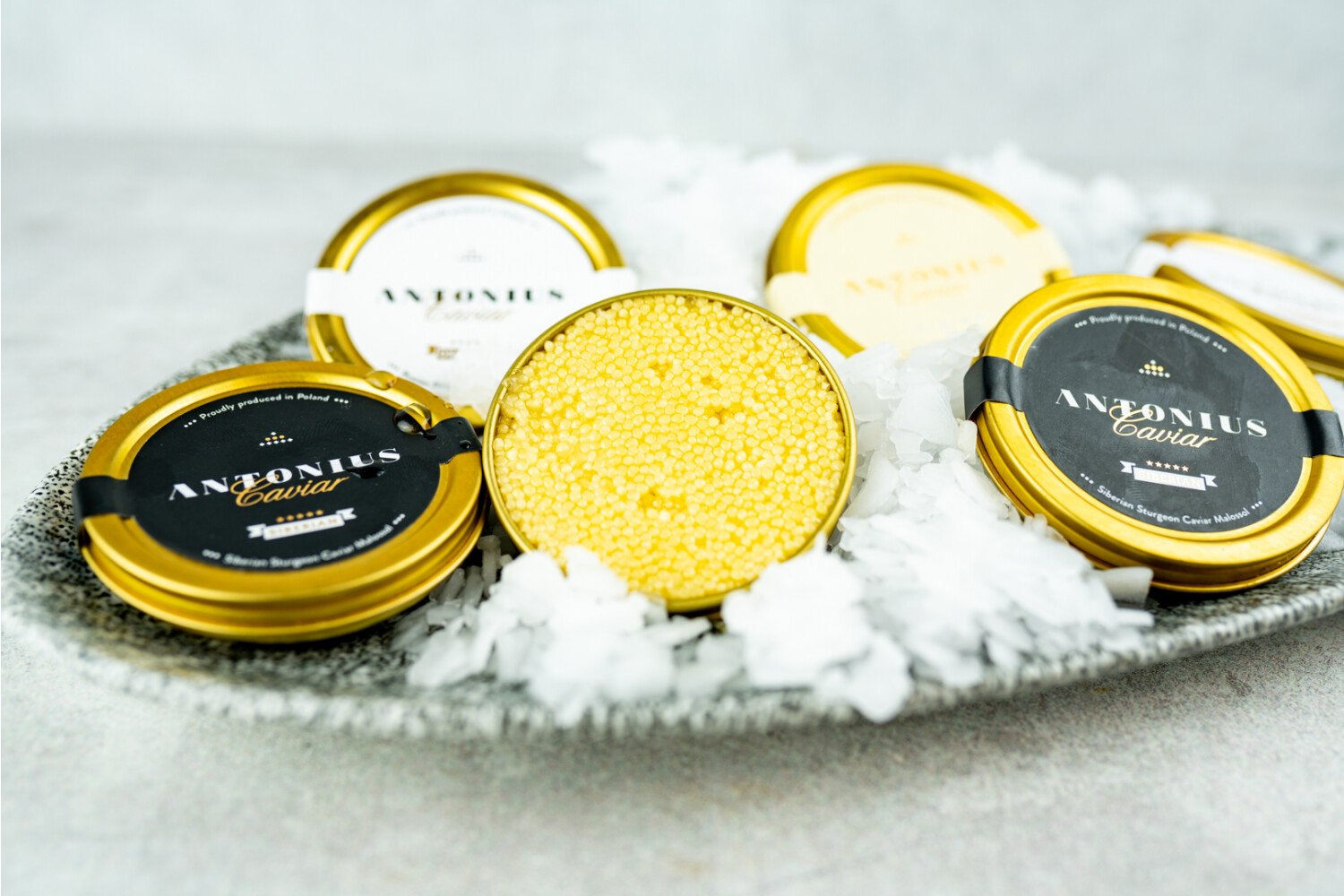 Albino-Kaviar I ANTONIUS