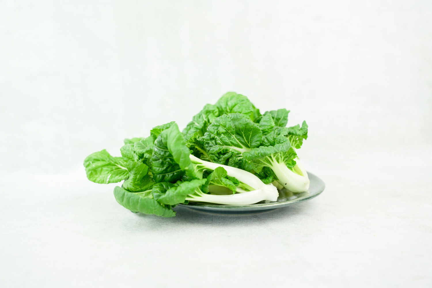 Wilder Pak Choi I KELTENHOF