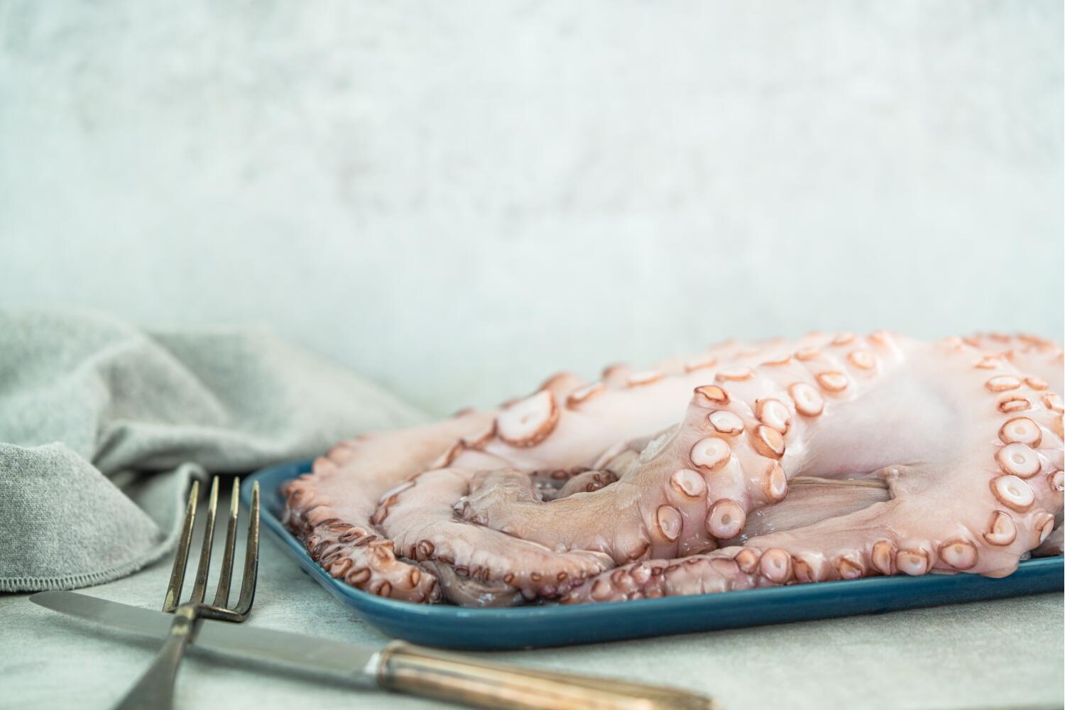 Pulpo