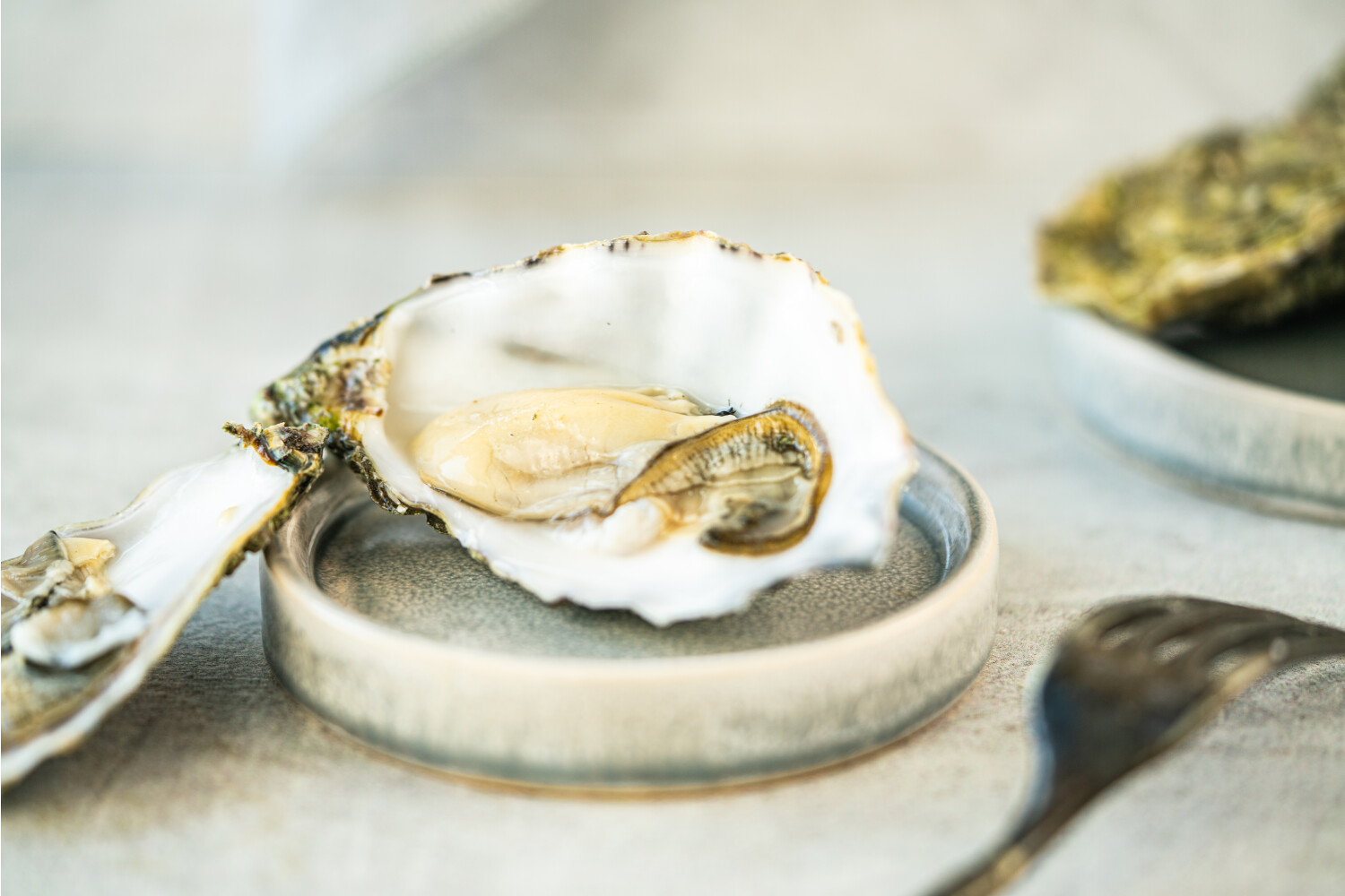 40000918.jpg Austern No°2 I GILLARDEAU