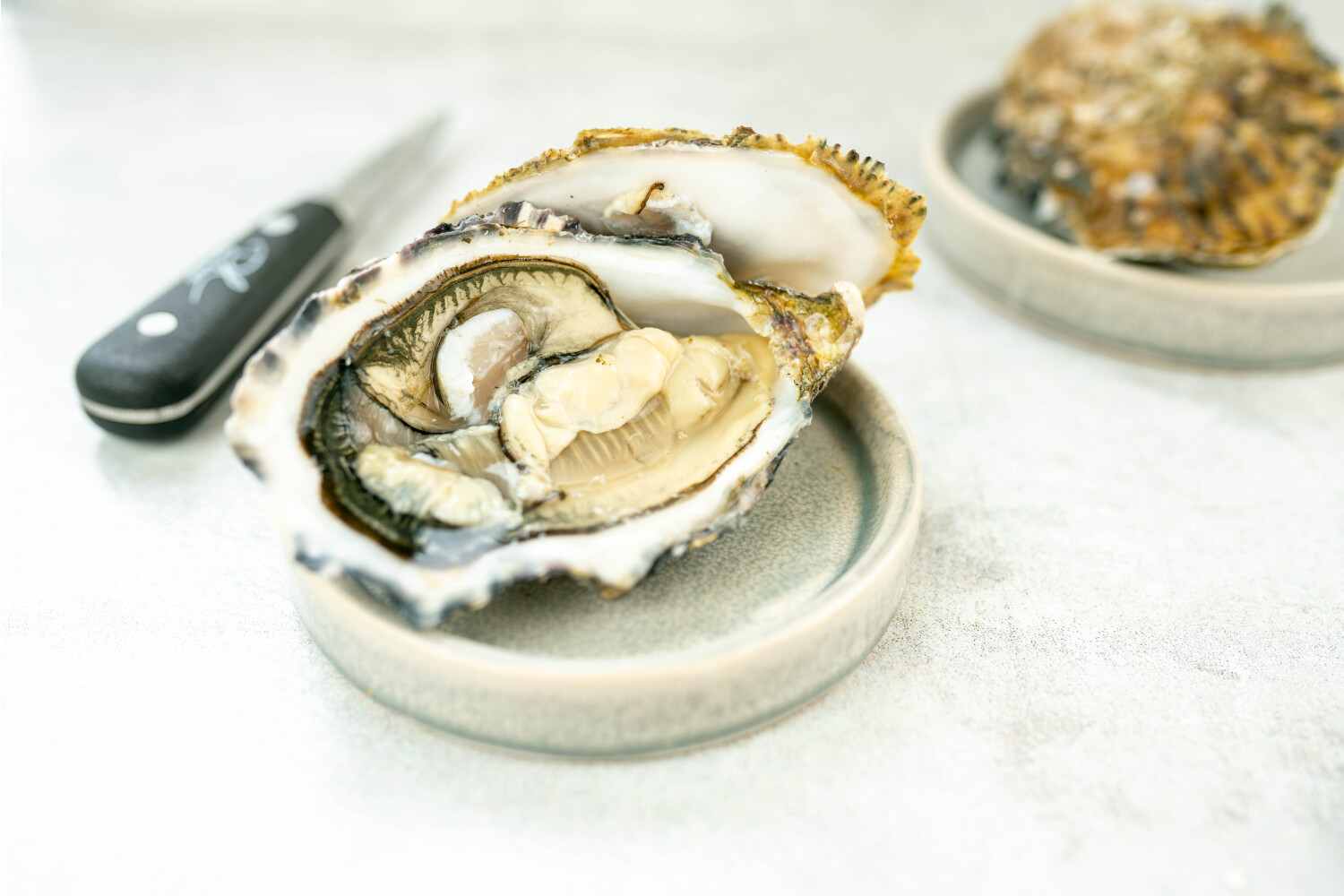 40002324-551566-austern-herve-royale-nr-3-48-stk-korb.jpg Austern Royale N°3 I HERVÉ