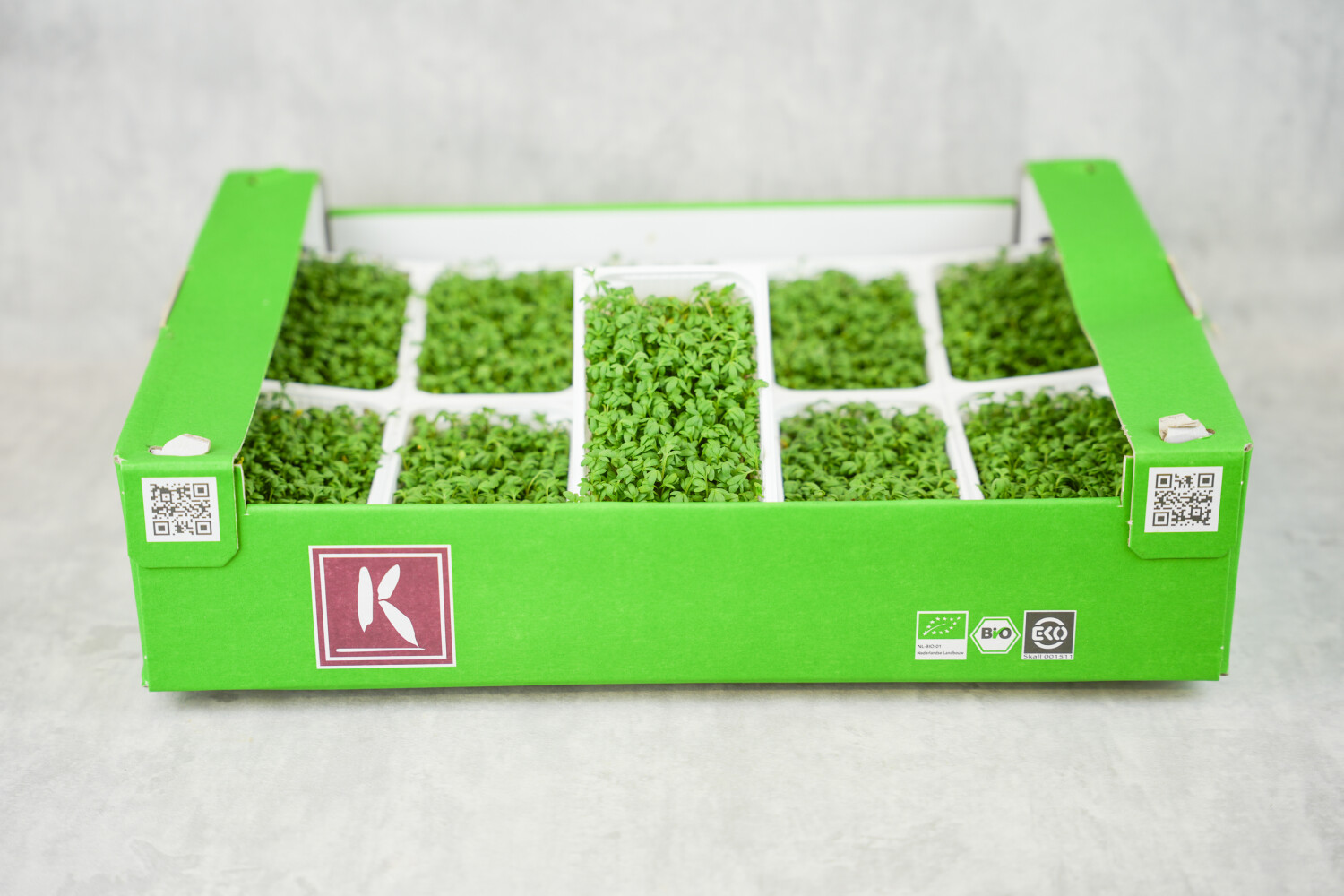 Garten-Kresse