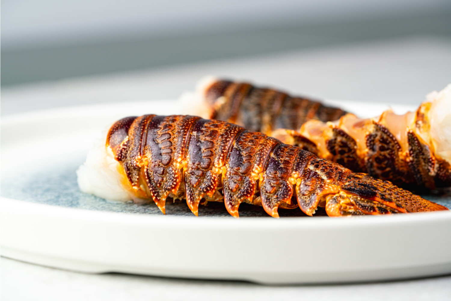 Langusten-Schwänze I TRISTAN