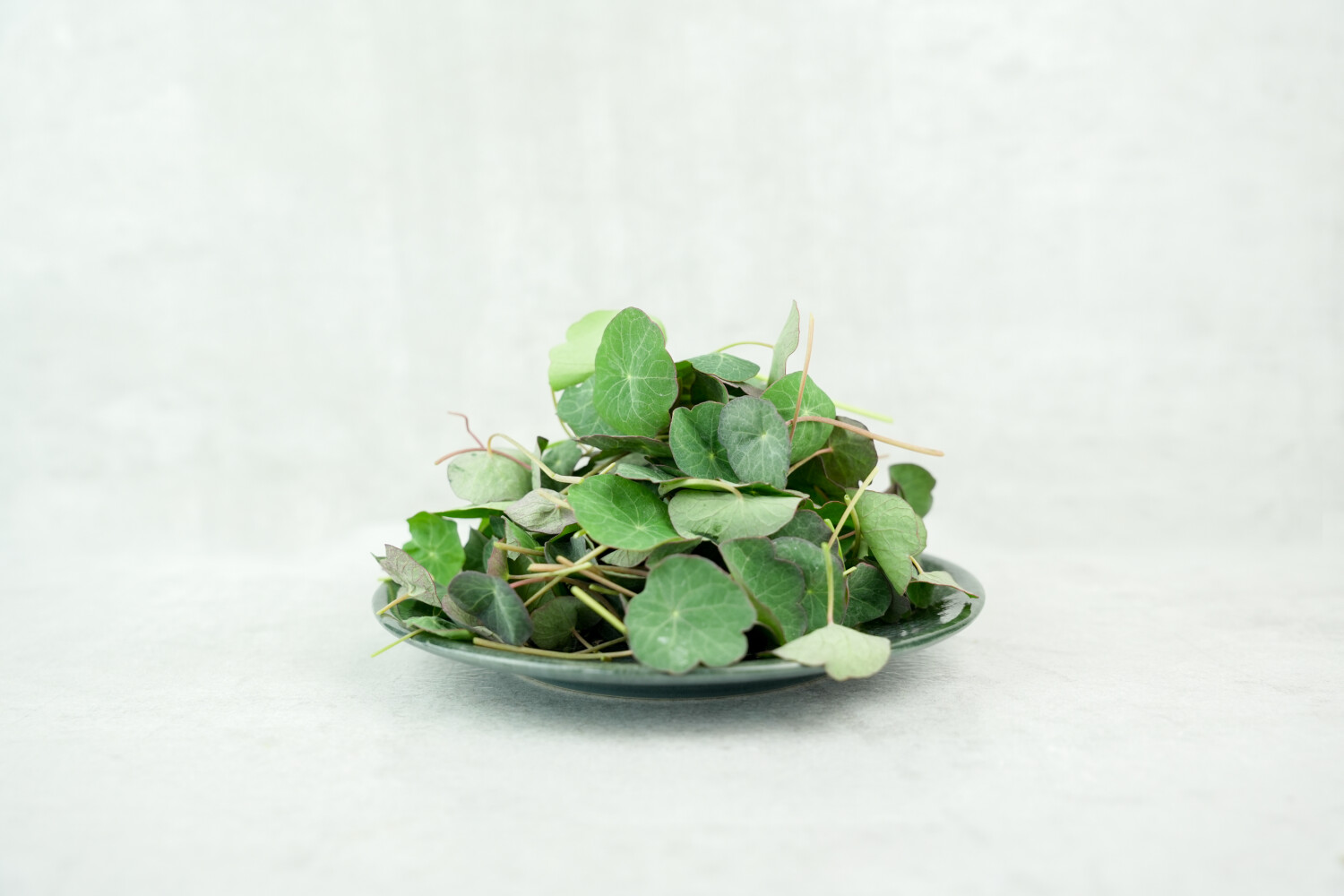 Micro Kapuzinerkresse-Blätter I KELTENHOF