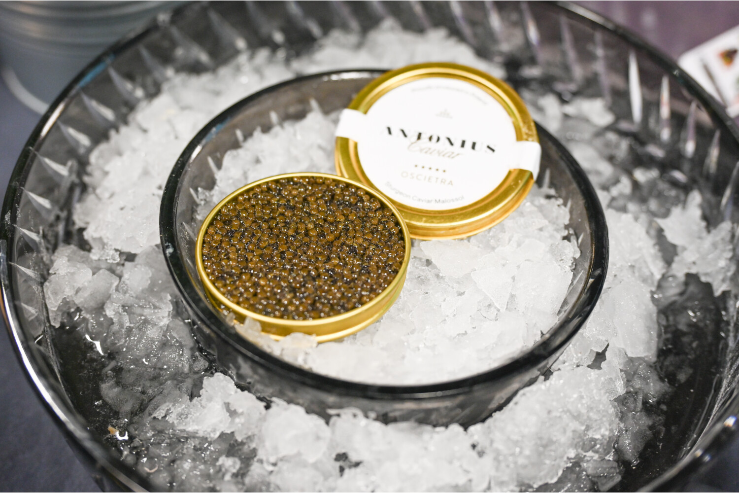 Oscietra 5* - Kaviar I ANTONIUS