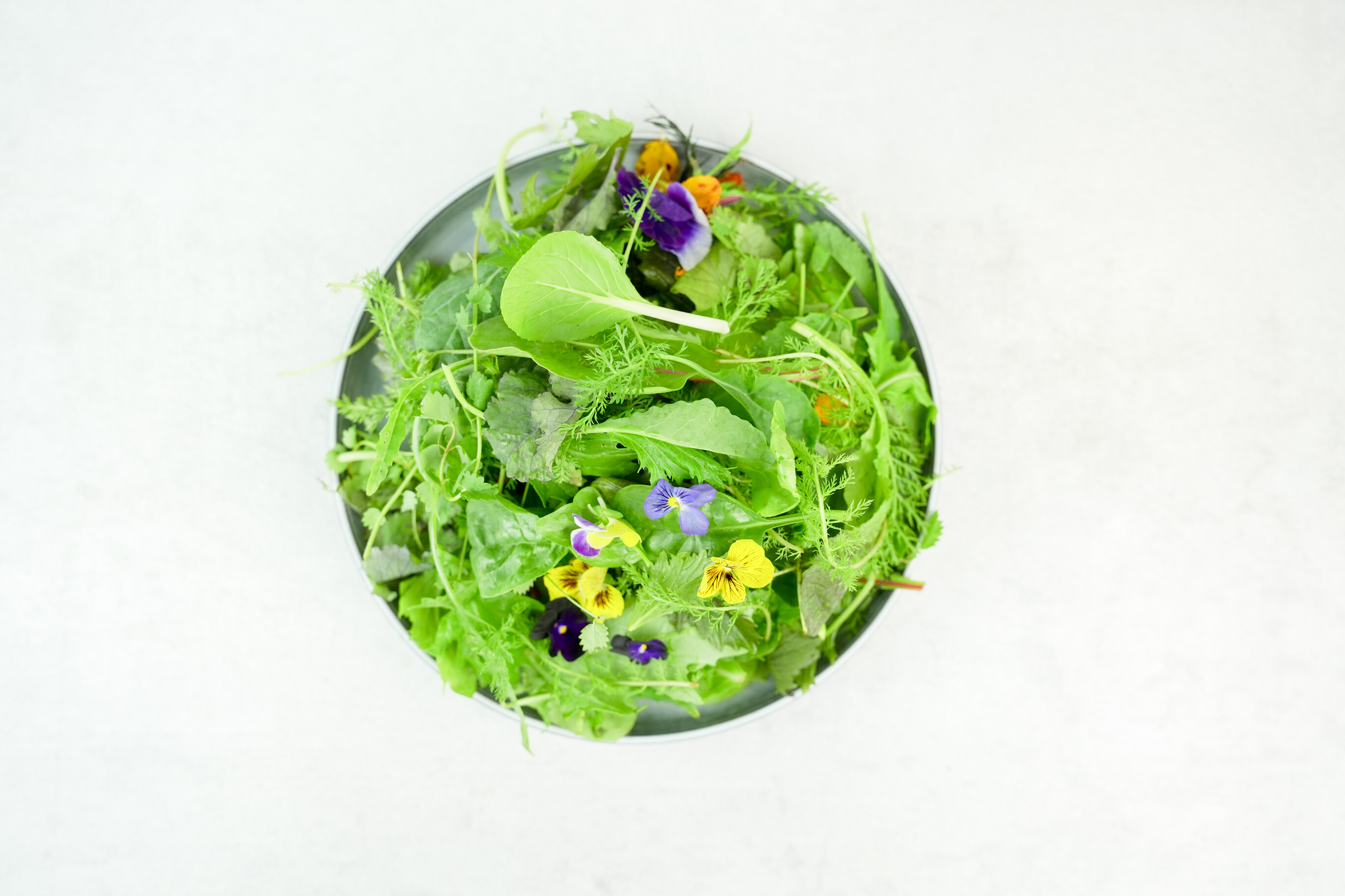 Wildkräutersalat I KELTENHOF