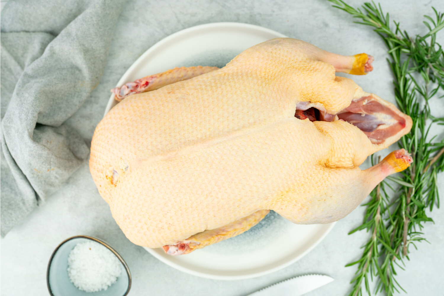 40003412-563045-tk-ente-grill-2-0-kg-nobis-d.jpg Grillente