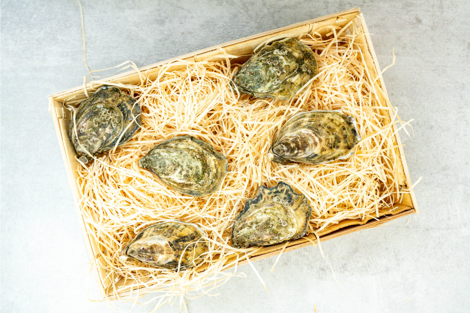 40002137-551527-austern-herve-boudeuse-nr-4-48-stk-korb.jpg Austern Boudeuse N°4 I HERVÉ