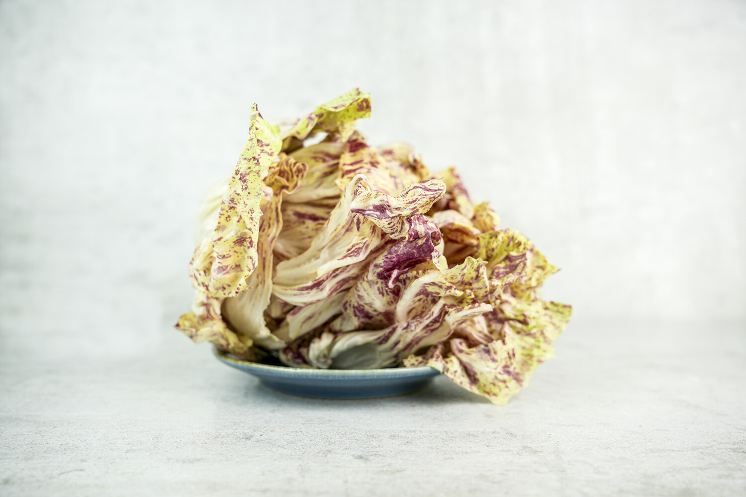 Raddicchio Castelfranco