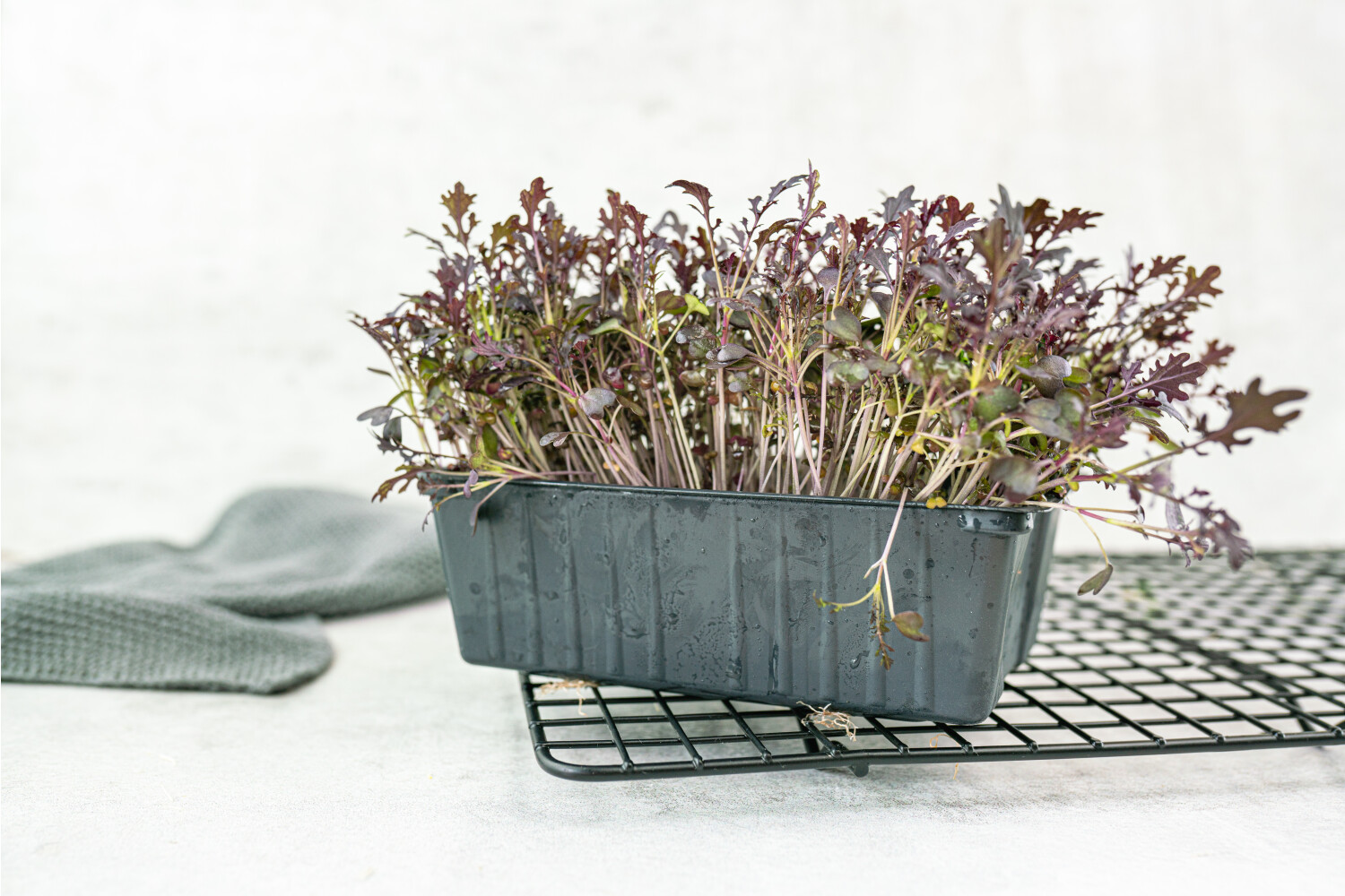 Kresse Red Mustard IFLAVOUR HUNTERS