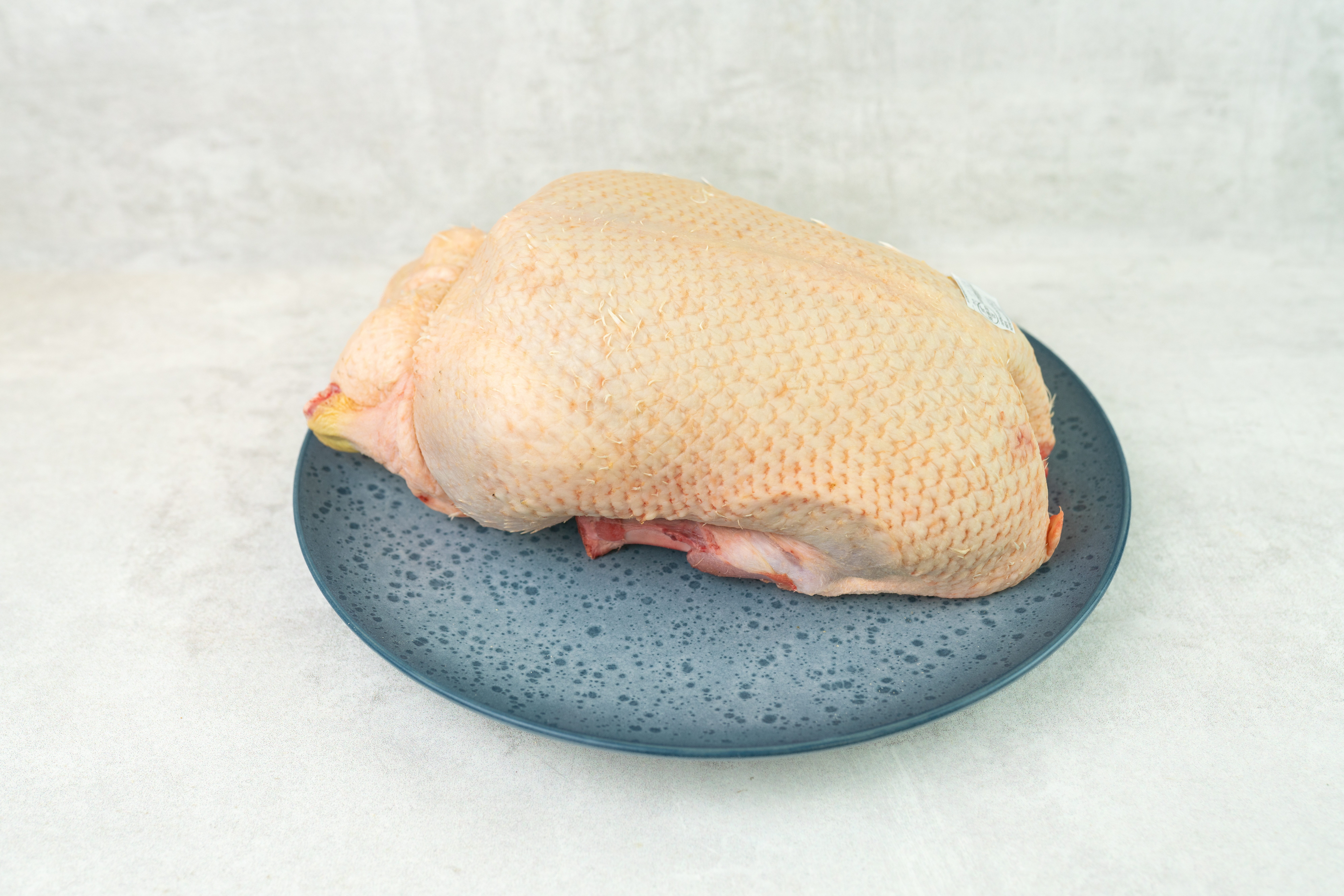 Barbarie-Ente