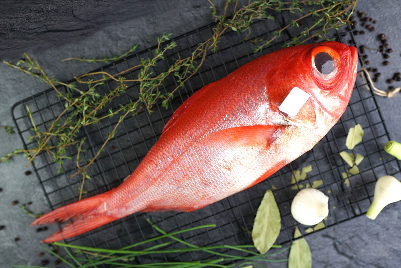 Alfonsino rund