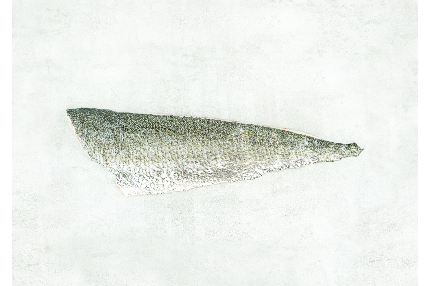 40003110-551151-filet-vom-adlerfisch-mit-haut-420-700-g-stueck-cro-3-0-kg-kiste.jpg Adlerfischfilet mit Haut