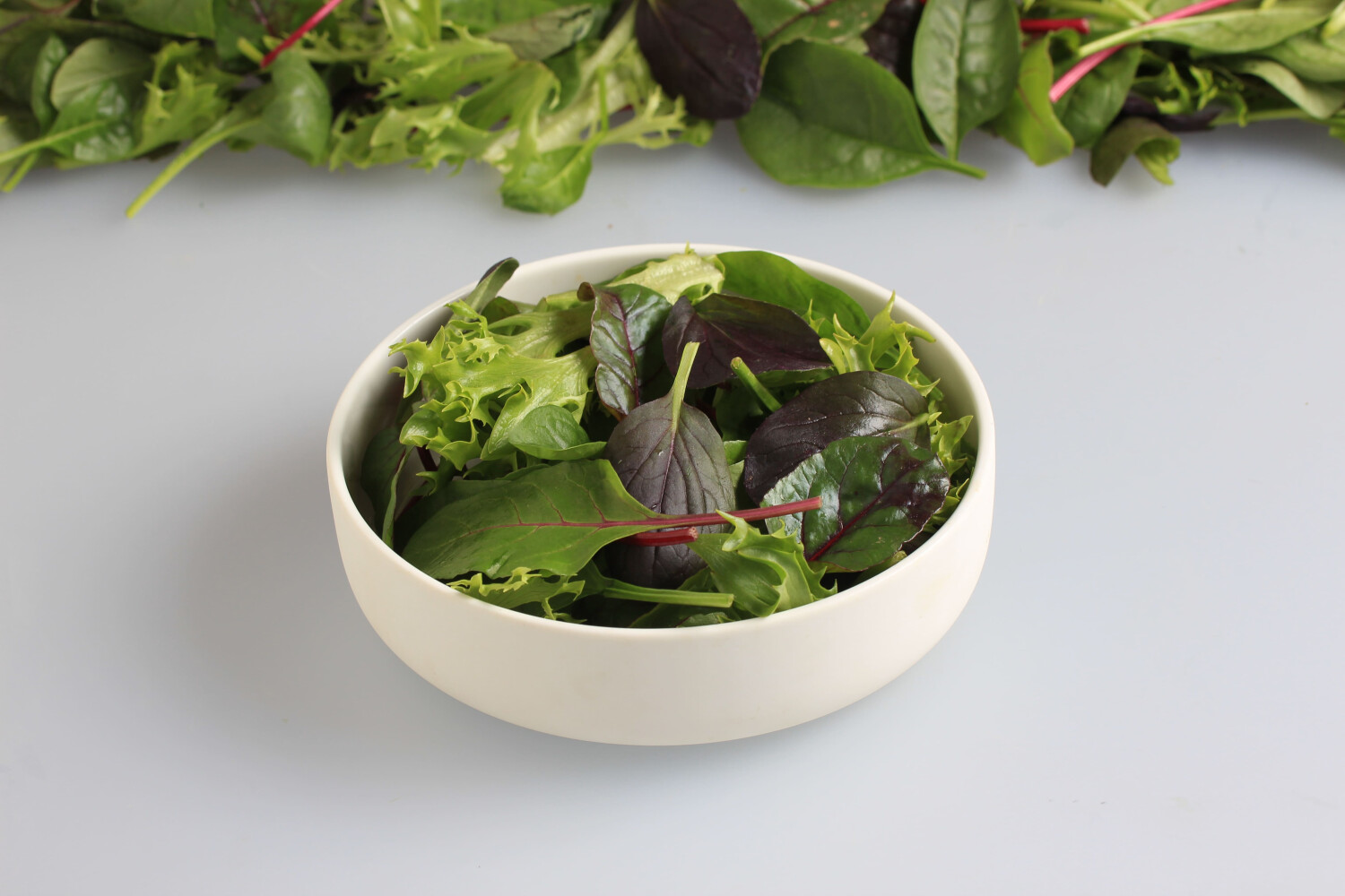 Salatmischung ´Little Champ´ I KELTENHOF