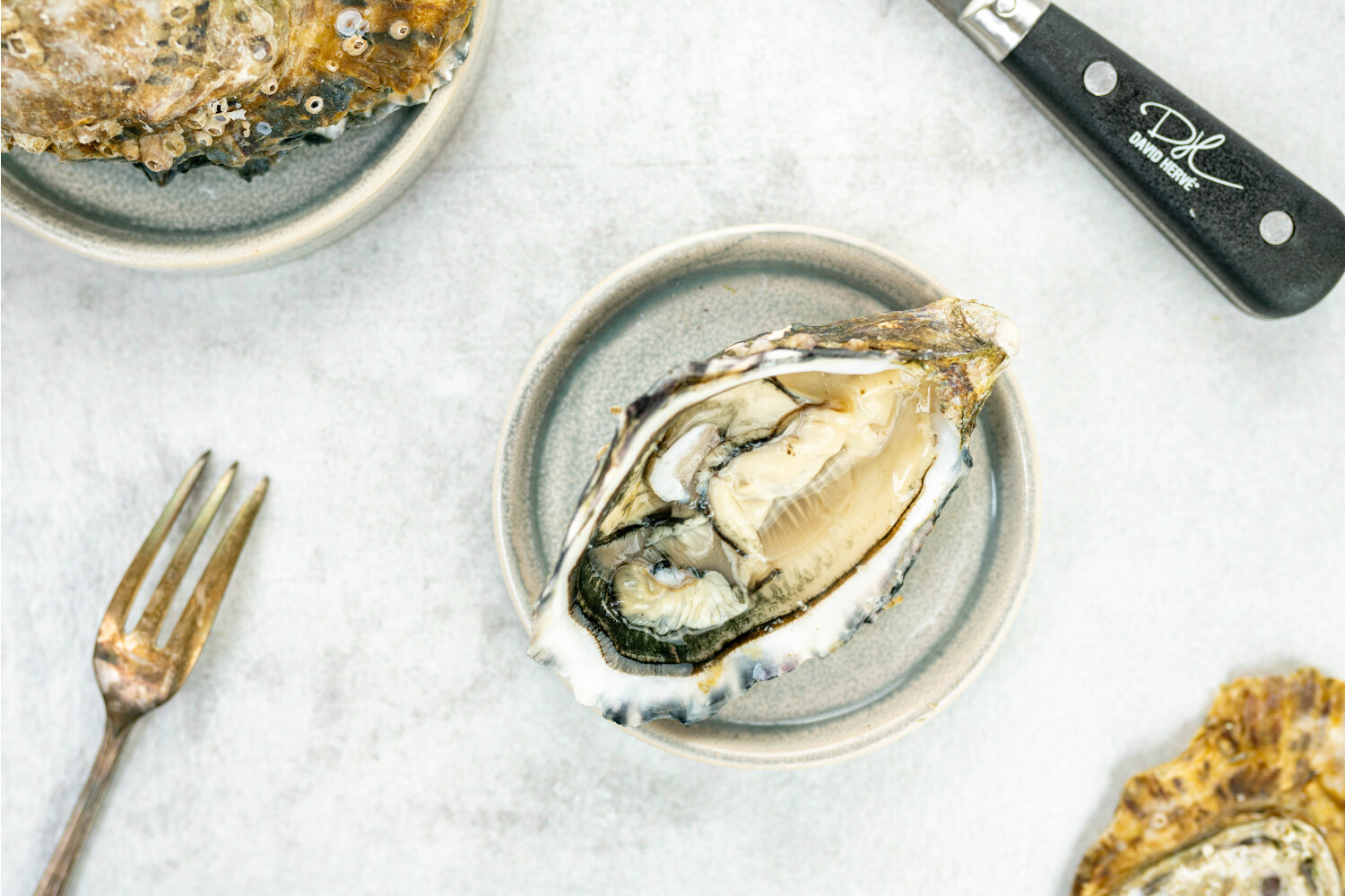 Austern Royale No°2 I HERVÉ