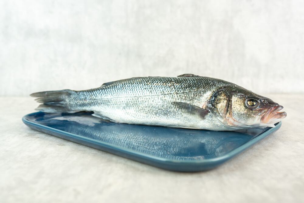 Loup de Mer rund
