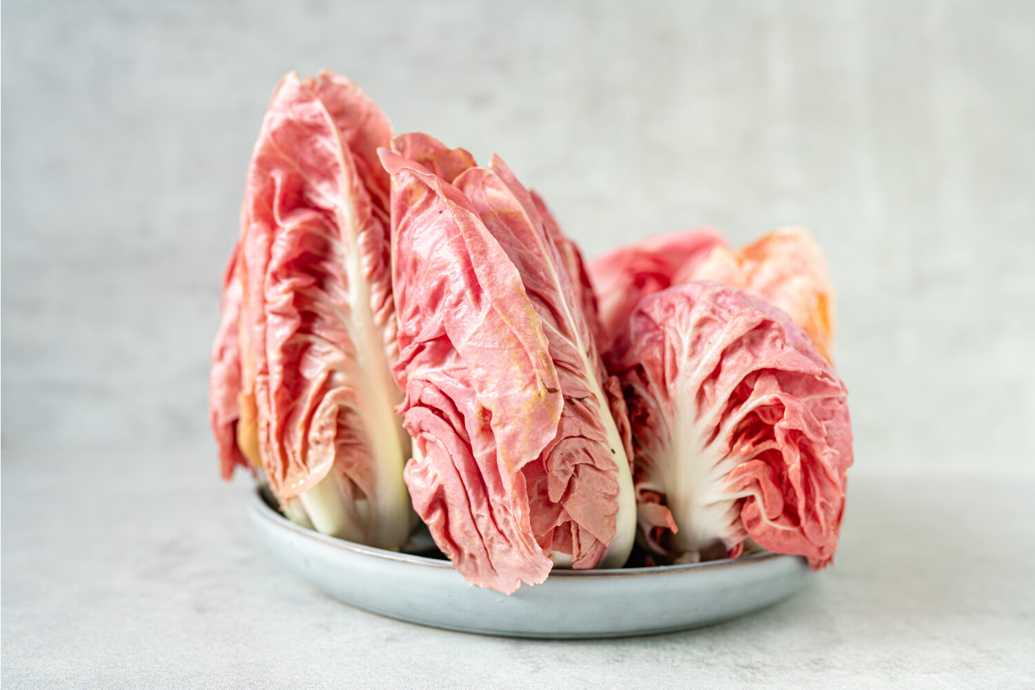 Radicchio Castelfranco