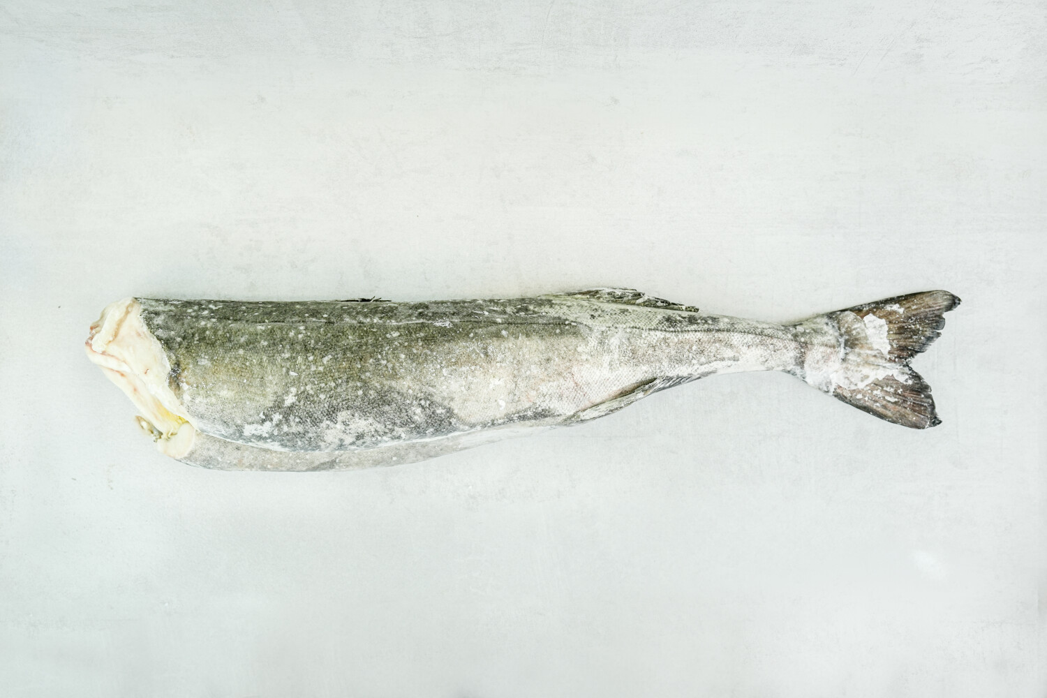 Black Cod ausgenommen