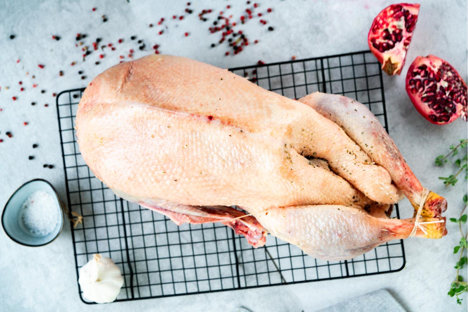 Freiland gans I DITHMARSCHER GEFLÜGEL