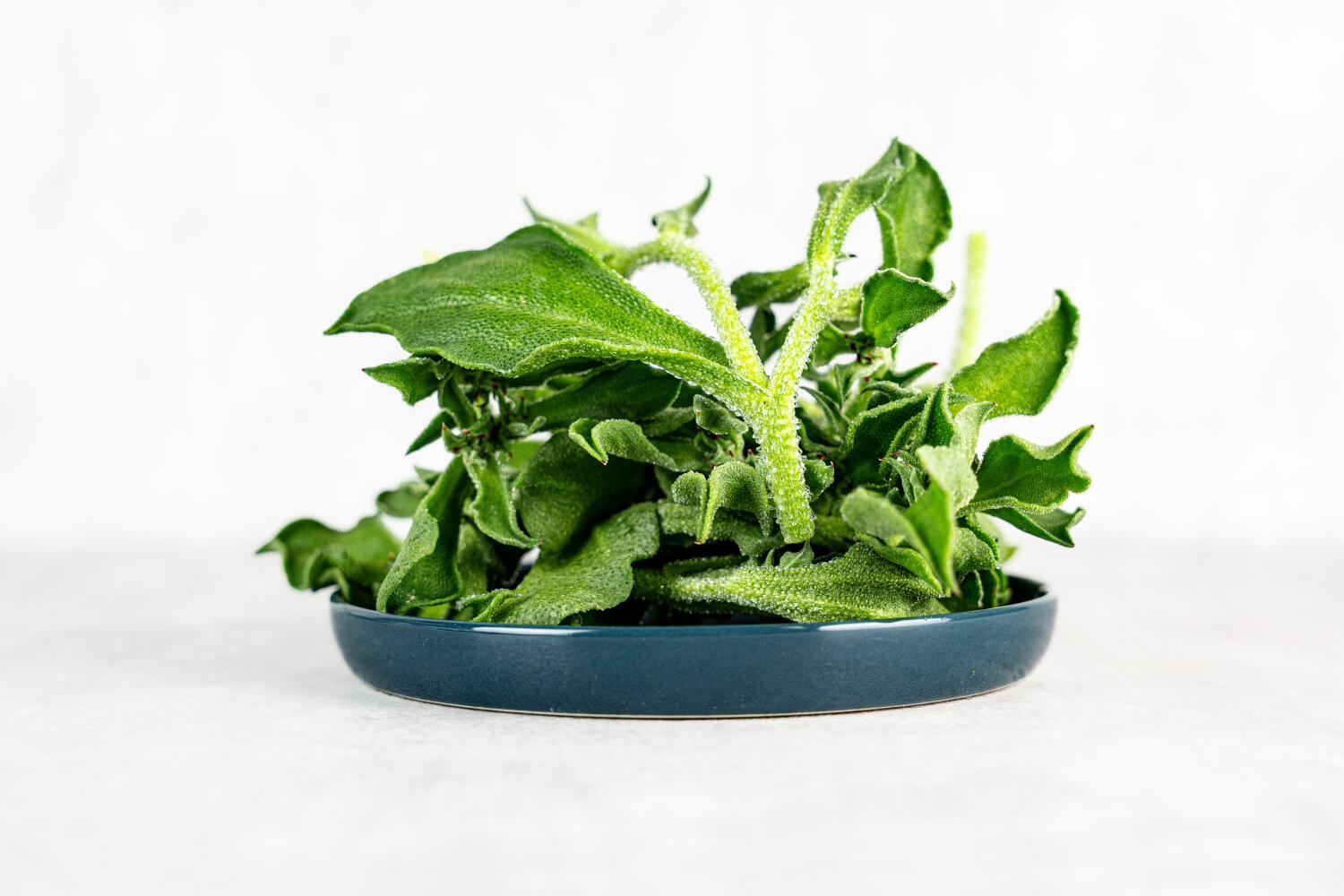 Eiskrautsalat
