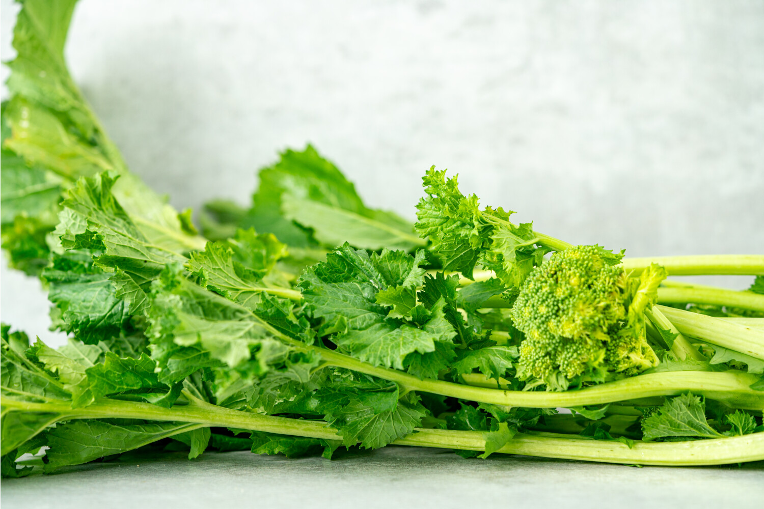 Cima di Rapa