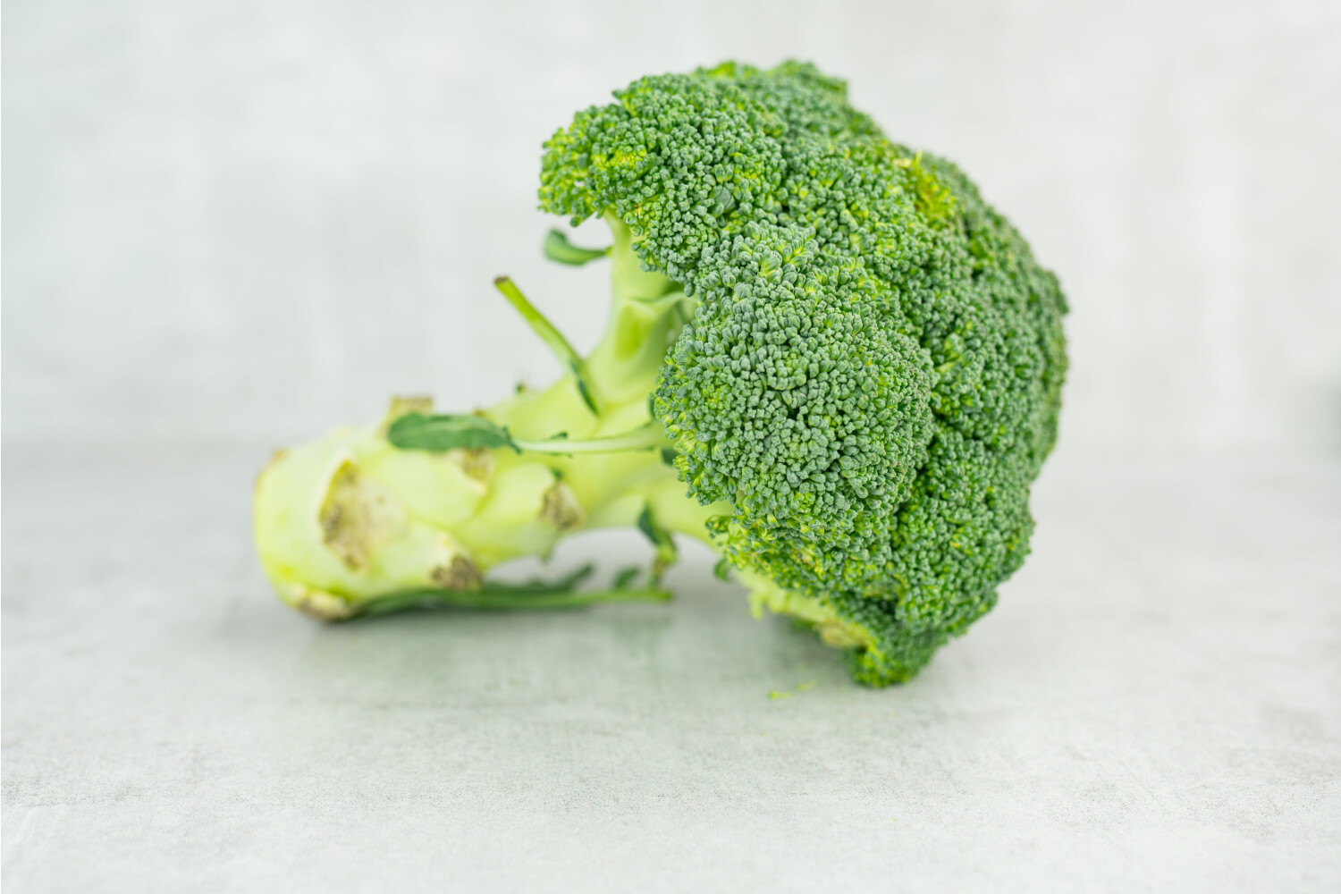 Broccoli