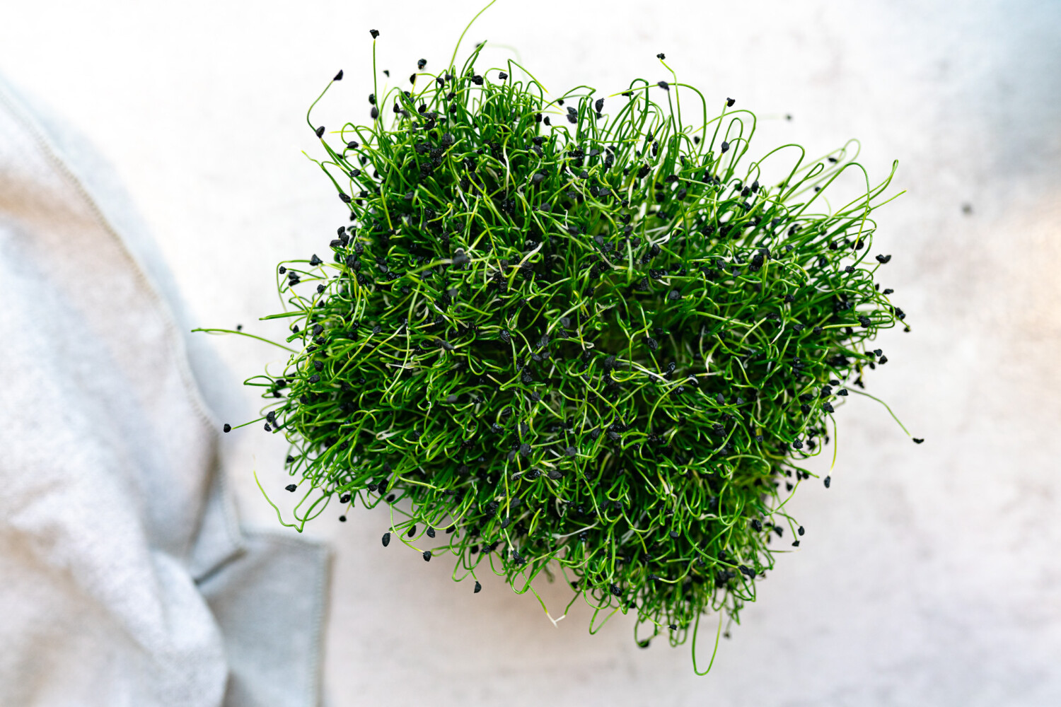 40001935-521746-kresse-fh-lauchsprossen-8-sch-kiste-p.jpg Lauchsprossen I FLAVOUR HUNTERS