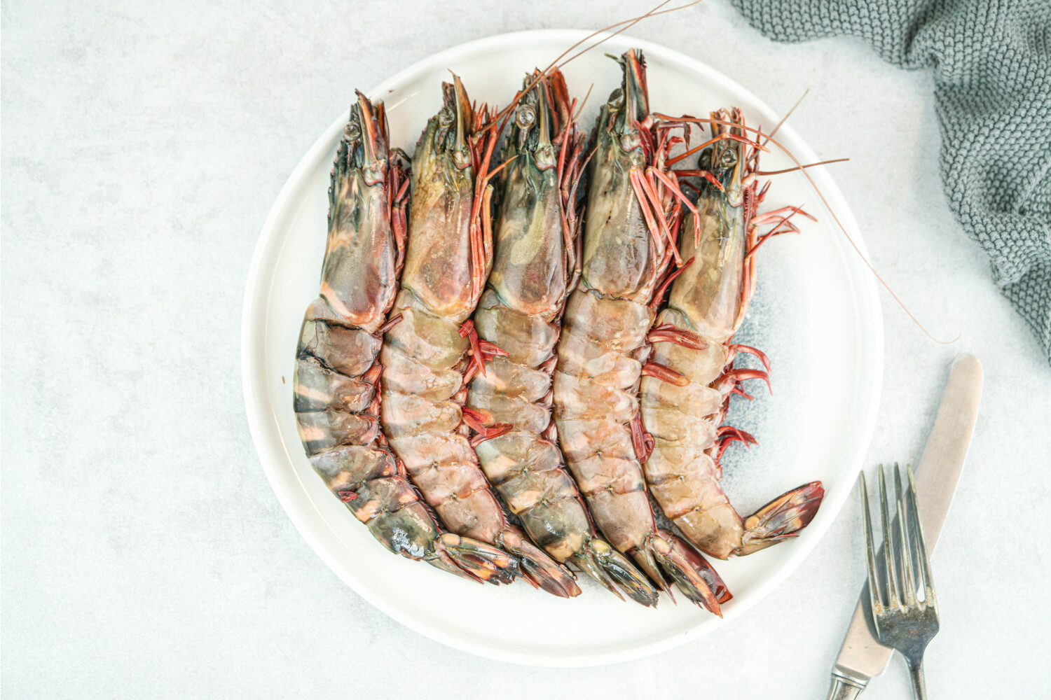 Black Tiger Garnelen 6/8